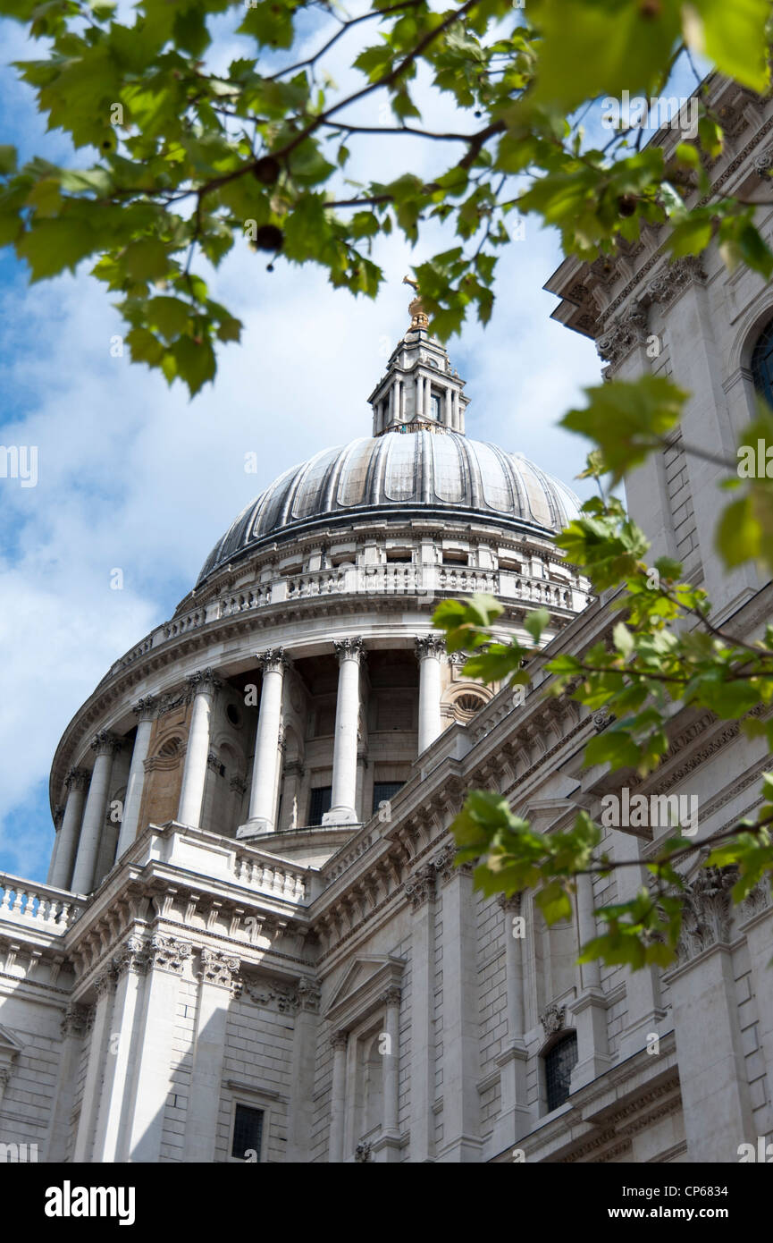 St Paul's Cathedral Dome London UK Stock Photo