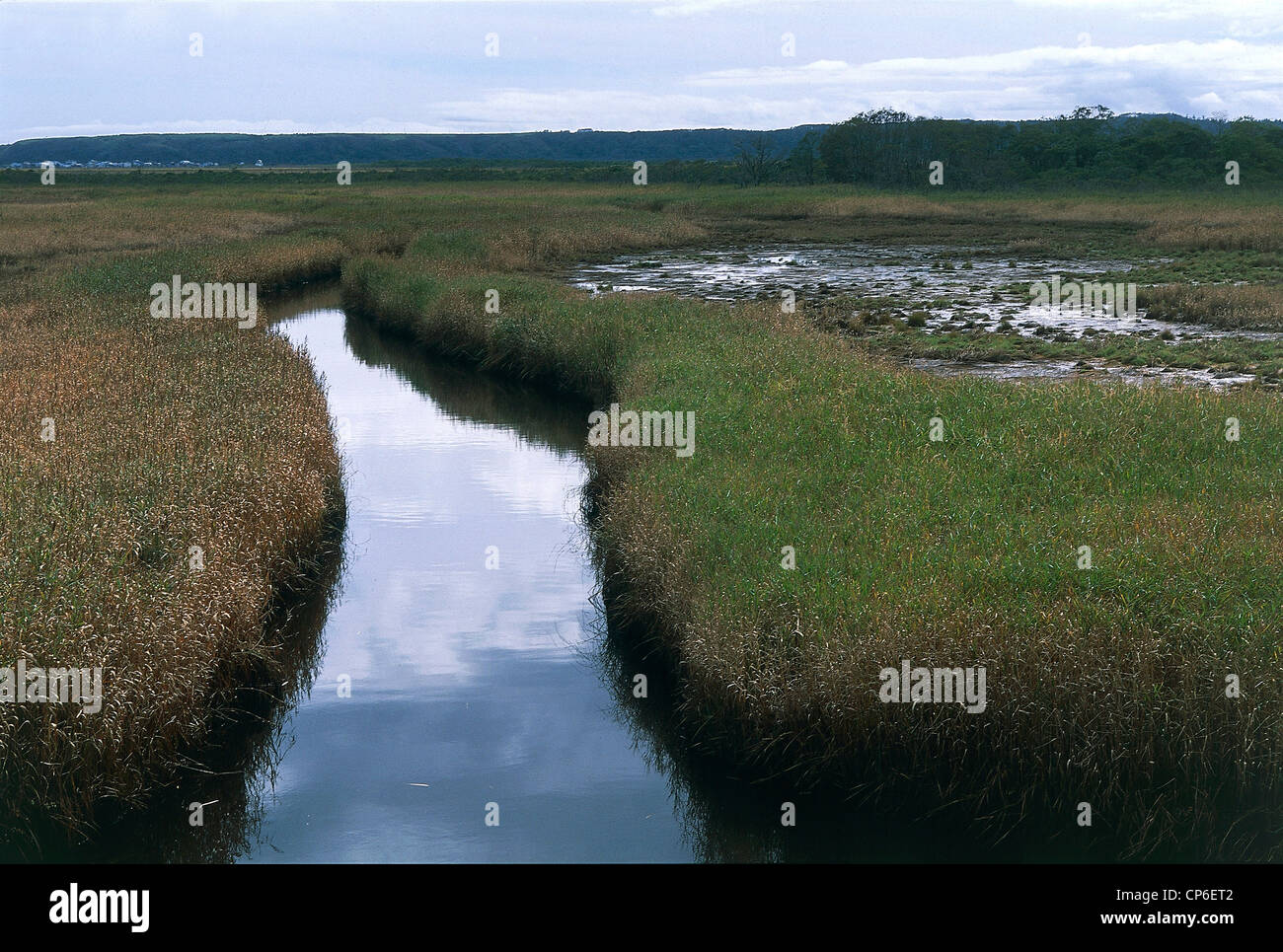 japan-hokkaido-kushiro-shitsugen-national-park-park-of-the-marshes