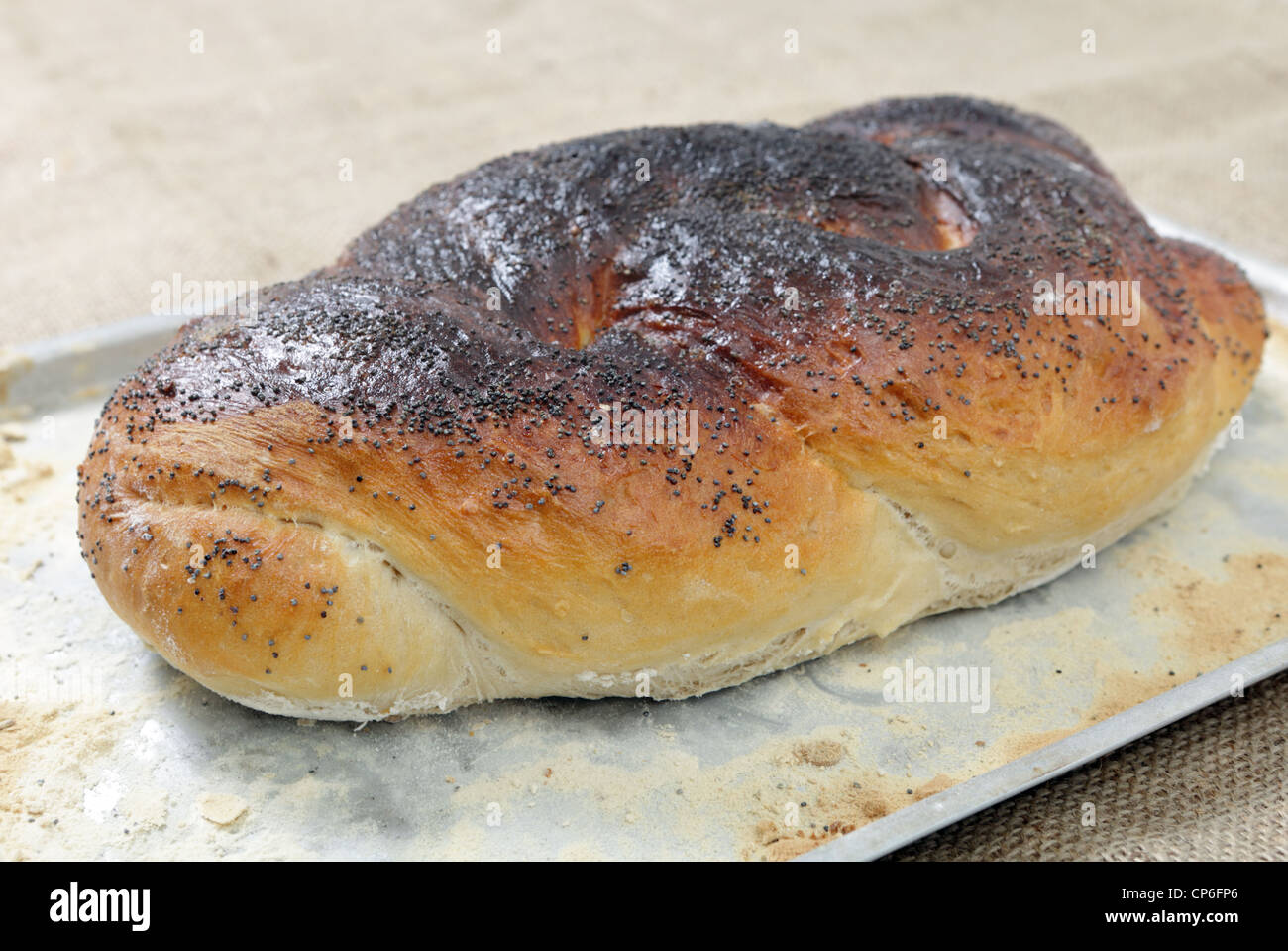 A homemade loaf of poppy seed bread, not quite as perfect as a factory