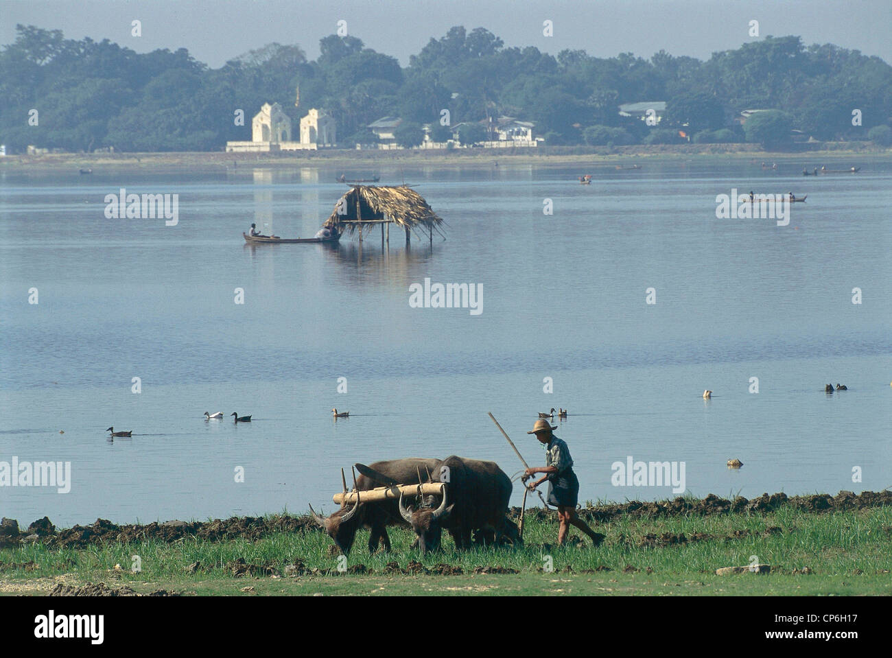Farmer at amarapura hi-res stock photography and images - Alamy