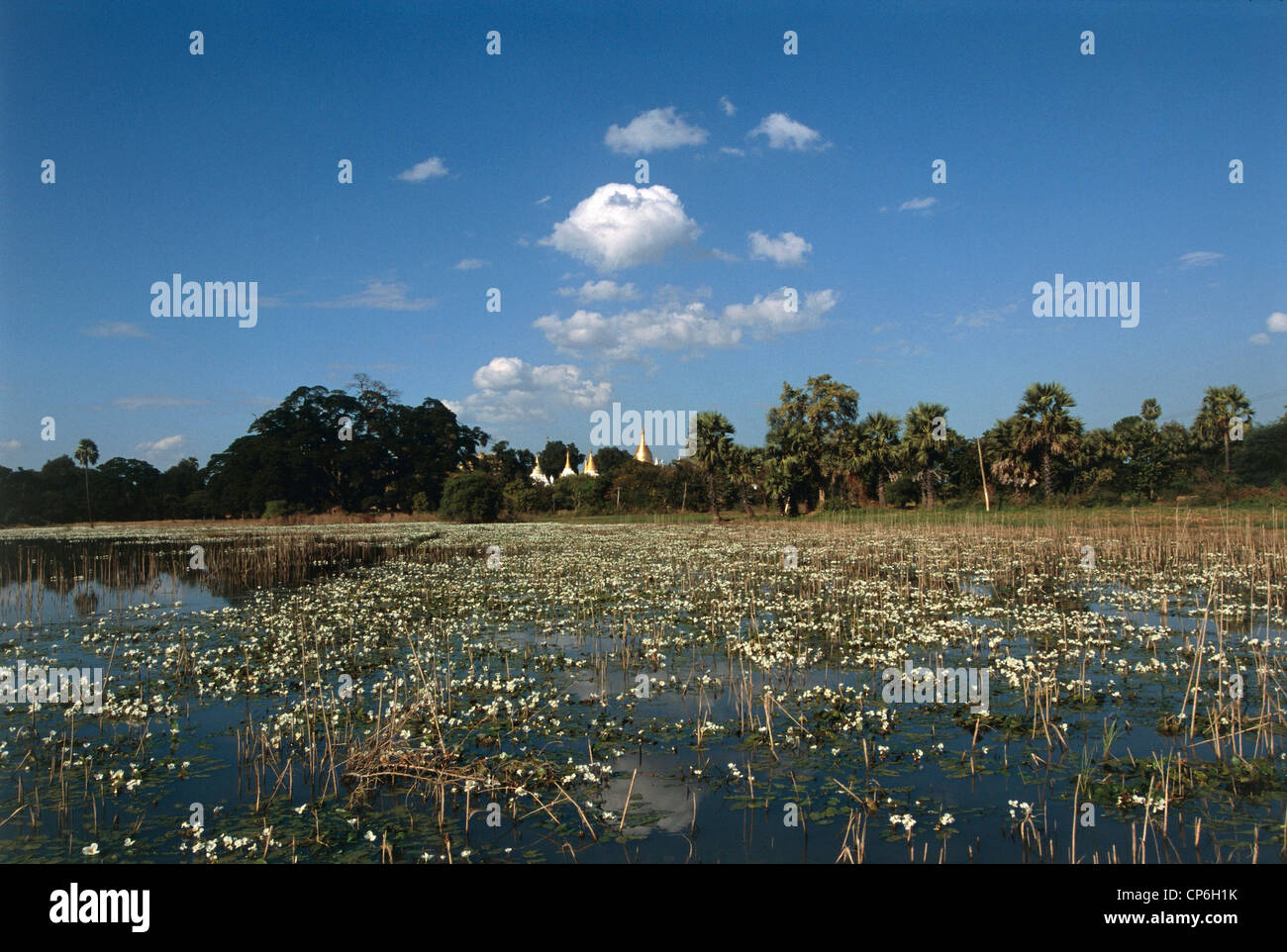 Myanmar (Burma) - Landscape near Ava (Inwa Stock Photo - Alamy