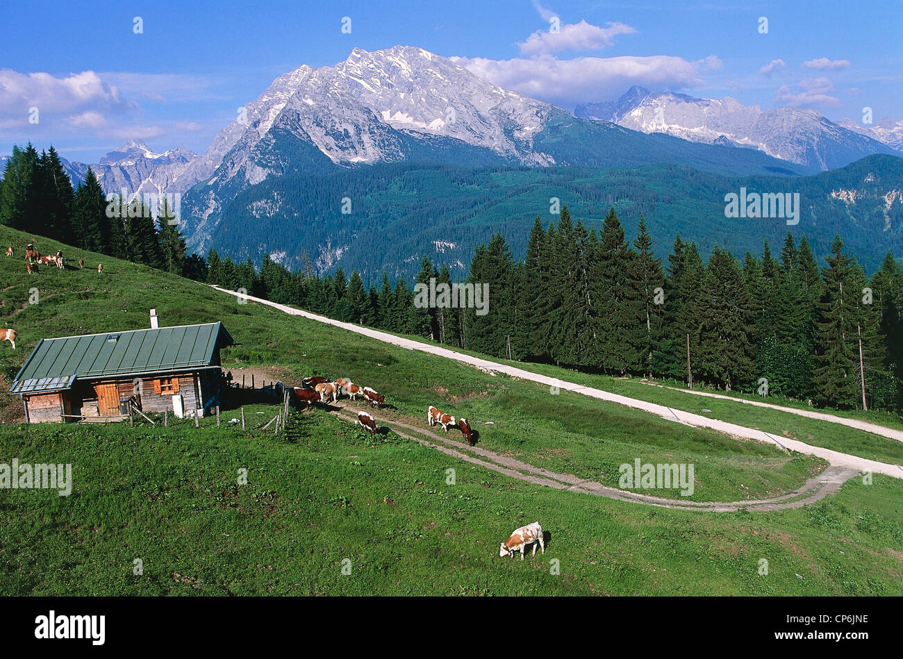 Germany - Bavaria (Bayern) - Berchtesgaden National Park. Stock Photo