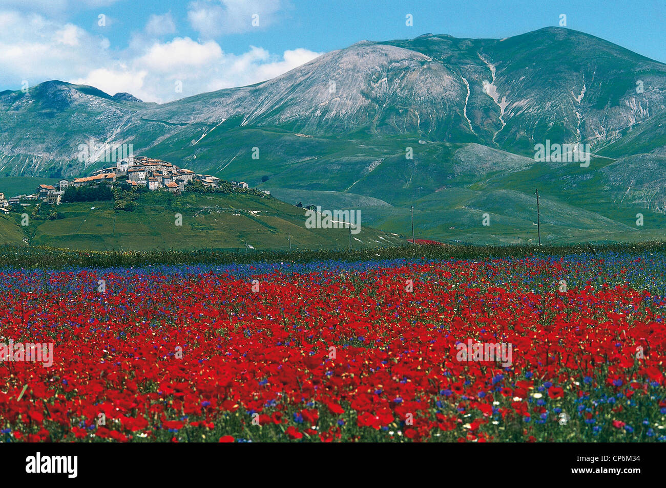 Umbria - Parco Nazionale dei Monti Sibillini. Castelluccio di Norcia (PG) and flowering of poppies (Papaver rhoeas) Stock Photo
