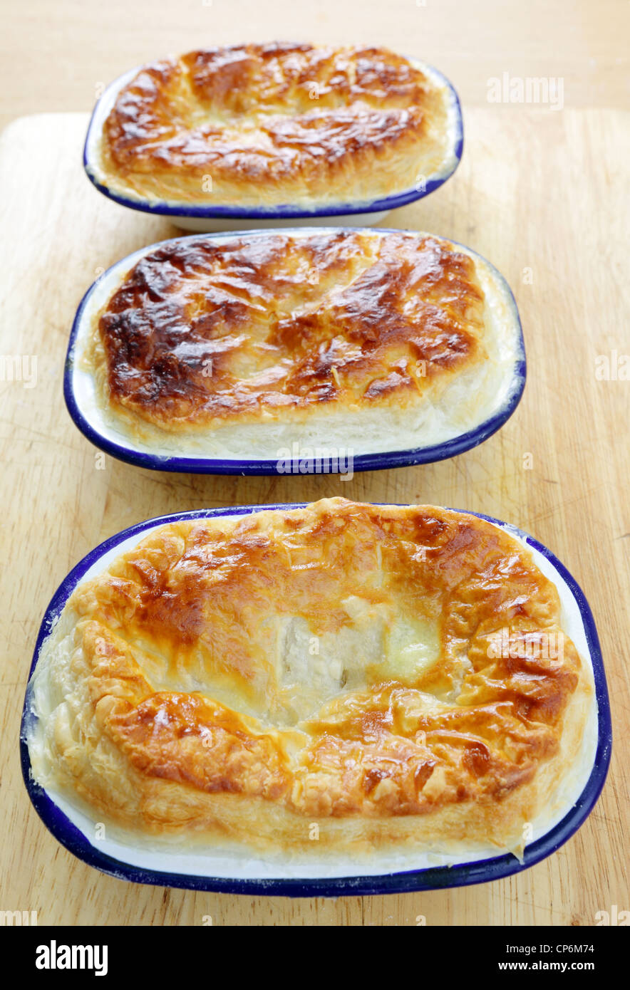 A lineup of homemade pies in traditional enamelled pie dishes Stock