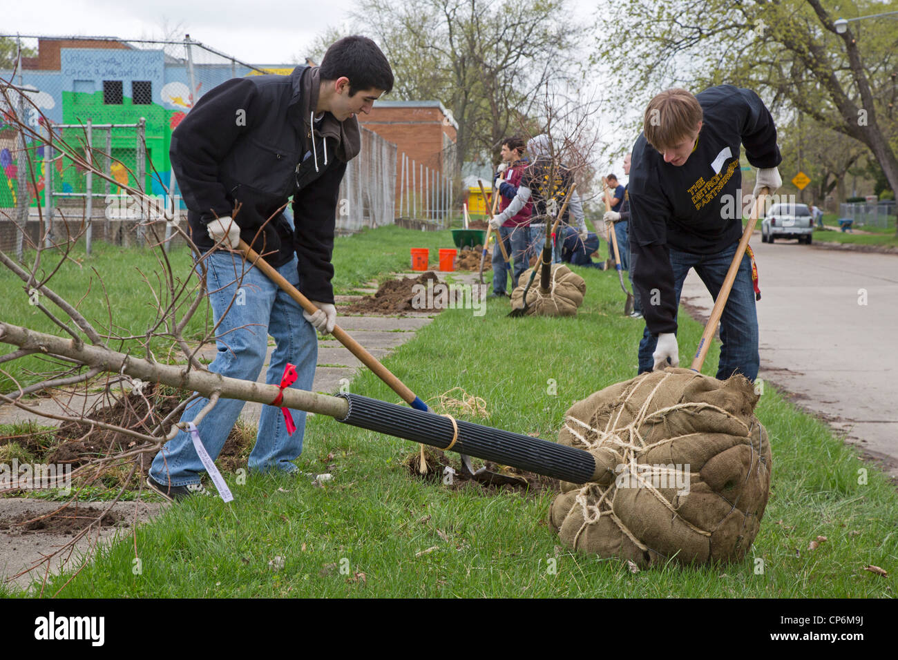 Detroit, Michigan - Student volunteers from the University of Michigan plant trees in Detroit's Brightmoor neighborhood. Stock Photo