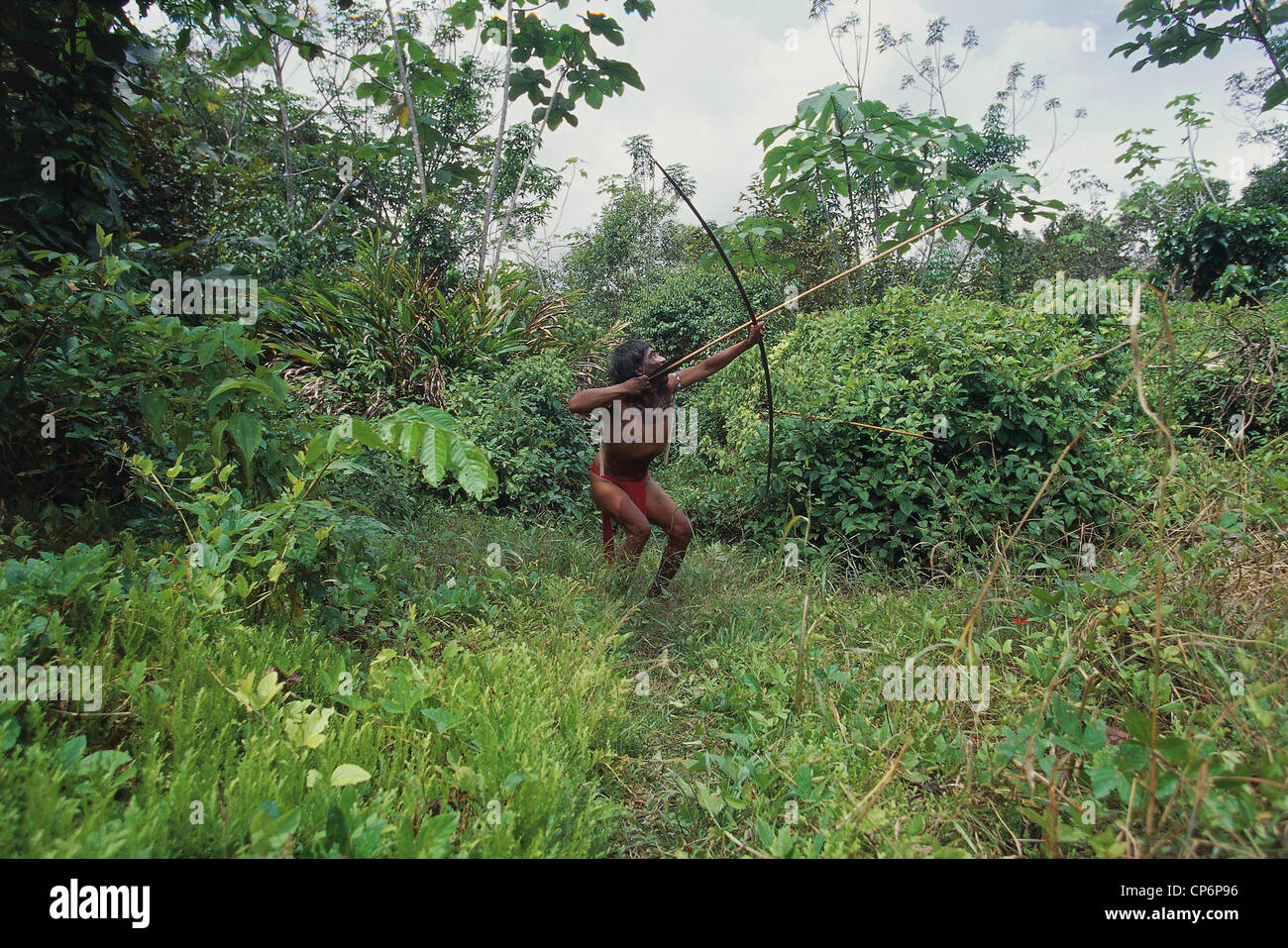 Venezuela Guayana Amazonas, near Rio Siapa. Indio Yanomami tribe Cavaroa hunting in forest. man in act of shooting arrow with Stock Photo