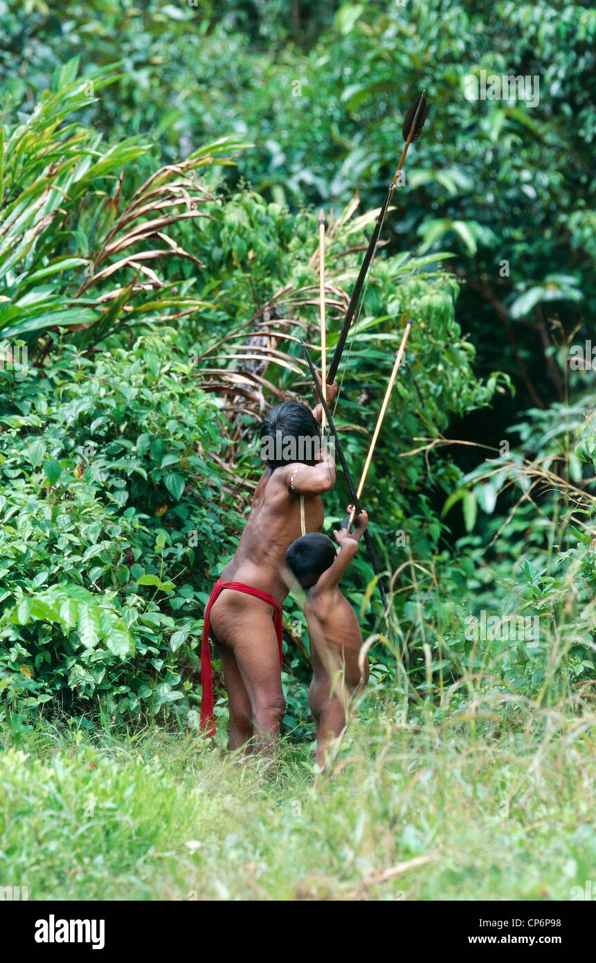Venezuela Guayana Amazonas, near Rio Siapa. Yanomami Indians of tribe Cavaroa hunting in forest. man child in act of shooting Stock Photo