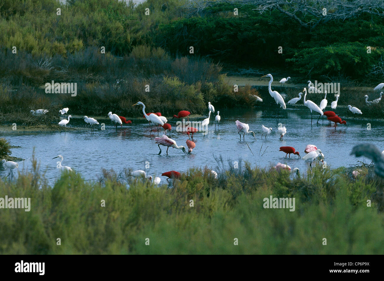 Venezuela - Falcon - Peninsula de Paraguana (Paraguana Peninsula