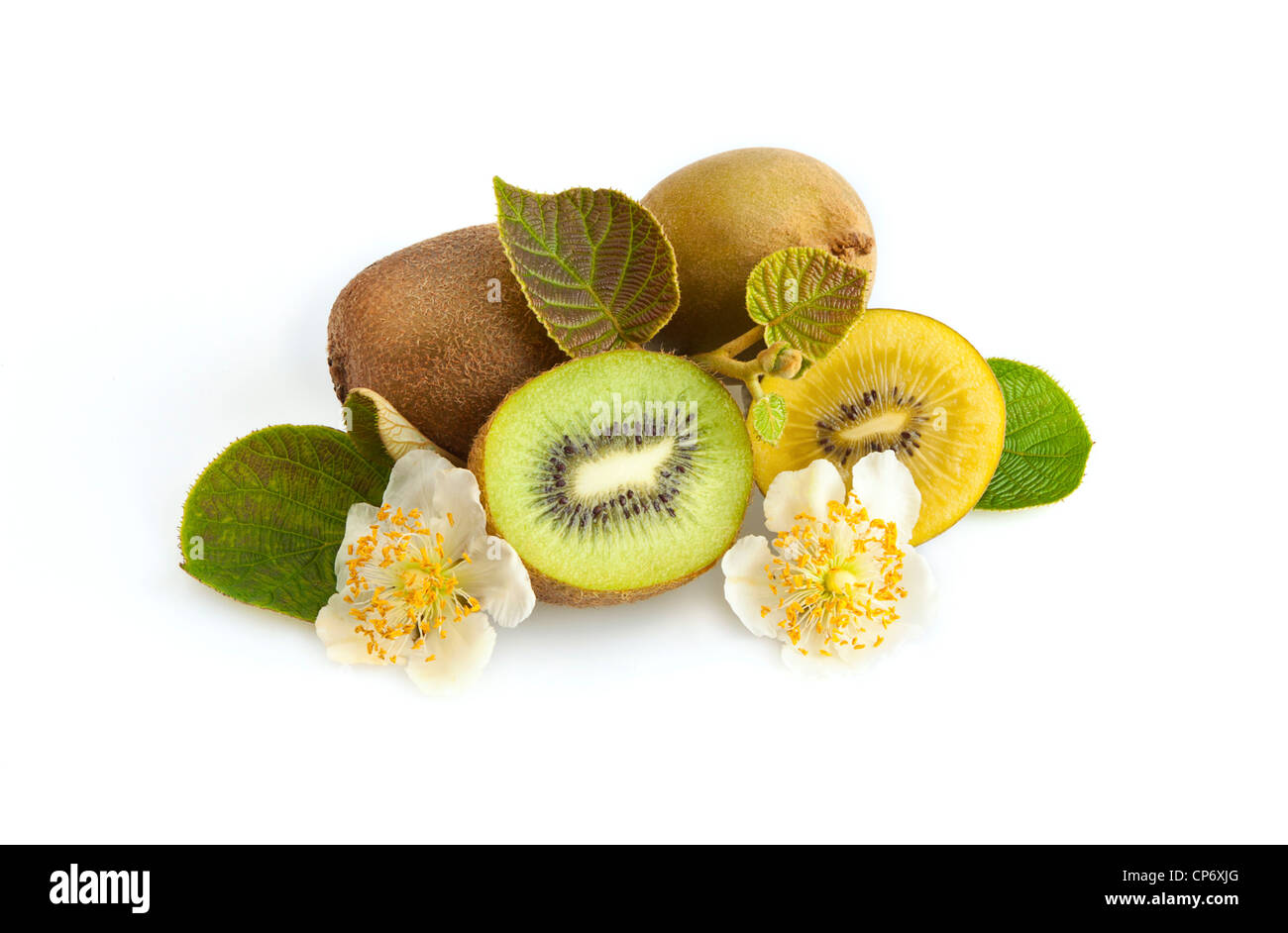 Kiwifruit New Zealand High Resolution Stock Photography and Images Alamy