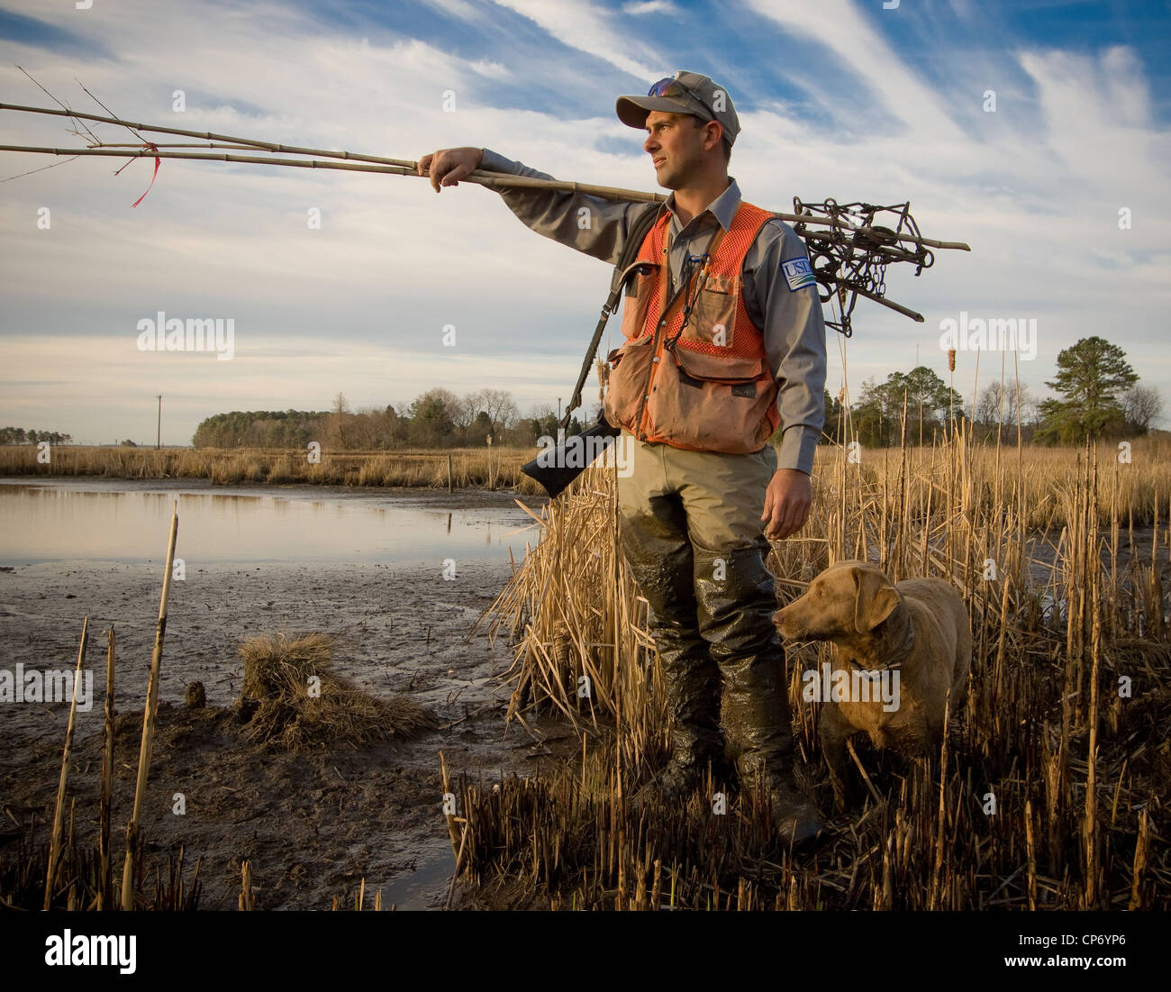 Trapper in the Blackwater National Wildlife Refuge Stock Photo - Alamy