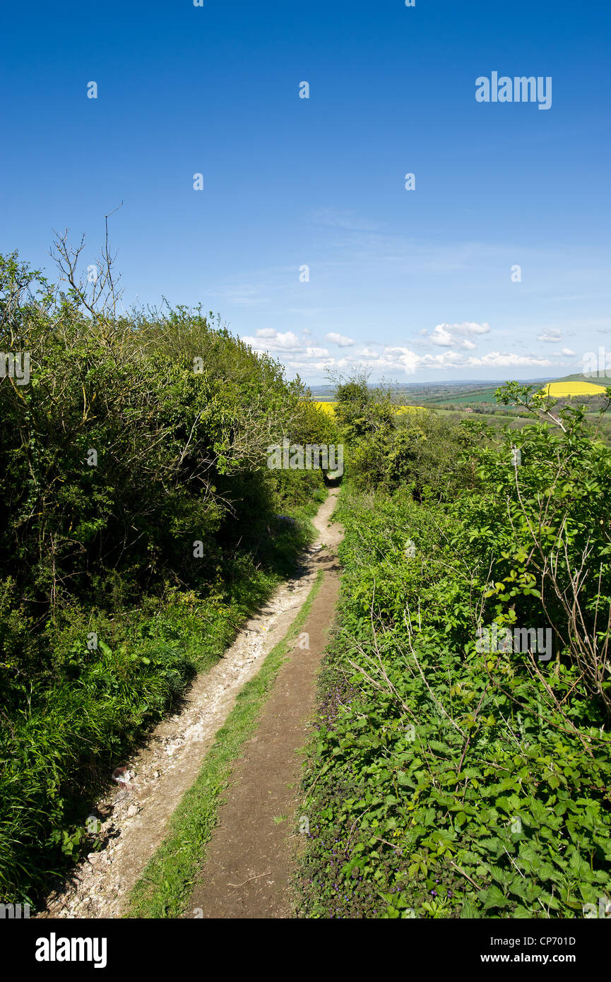 A footpath in the Cuckmere Valley in East Sussex Stock Photo