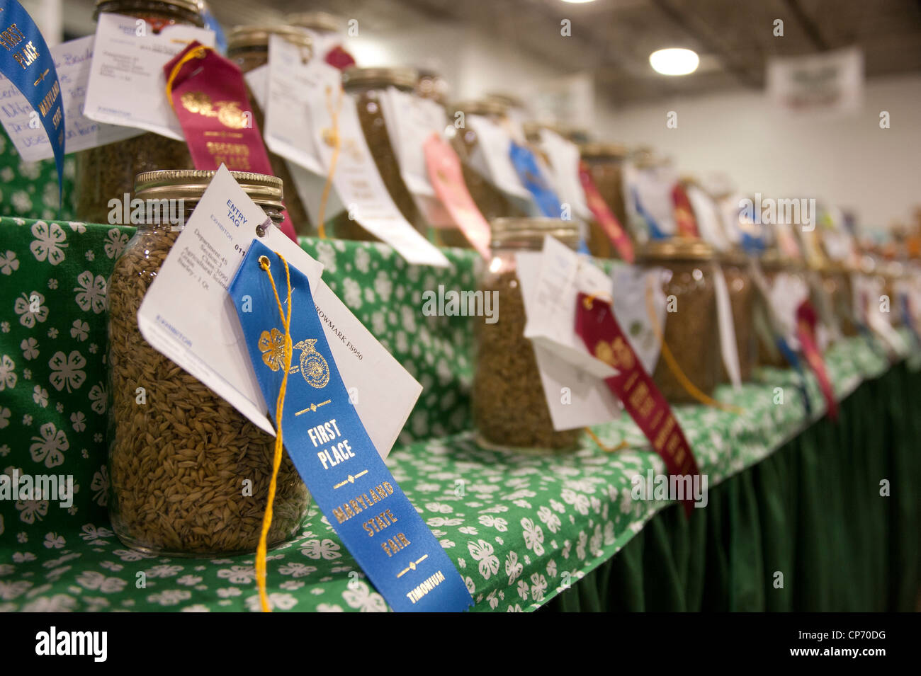 Prize- winning canned foods lined up on shelving at the state fair Stock Photo