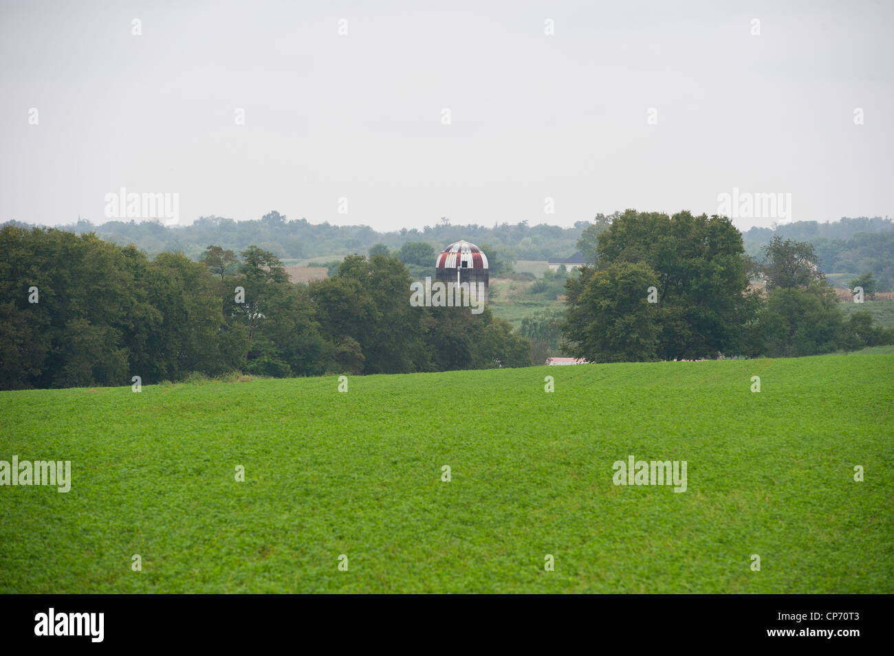 A field overlooking farm on the farmland Stock Photo