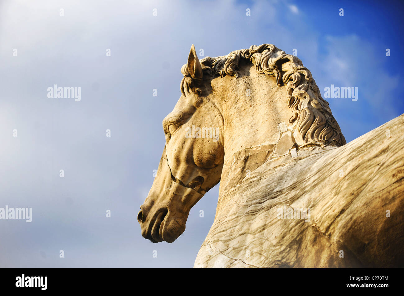 Roman horse head detail Stock Photo - Alamy