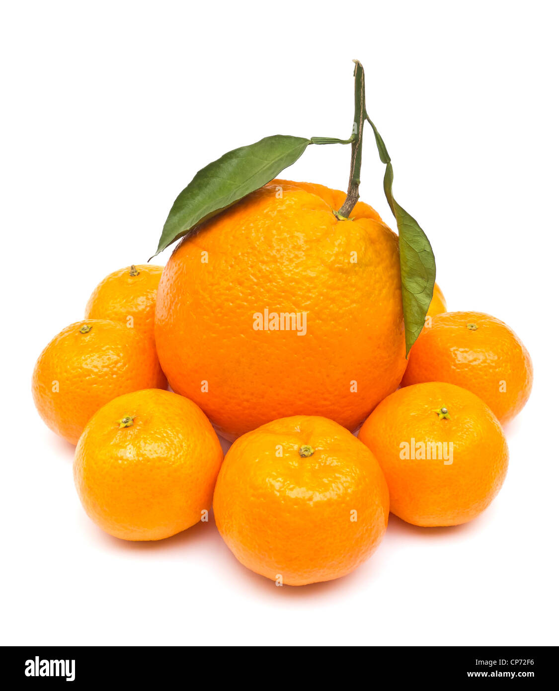 Oranges Size Stock Photo