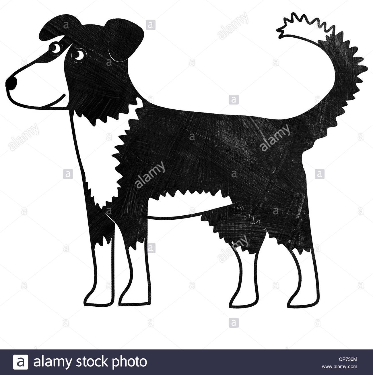 Cartoon Of A Border Collie Sheepdog Stock Photo Alamy