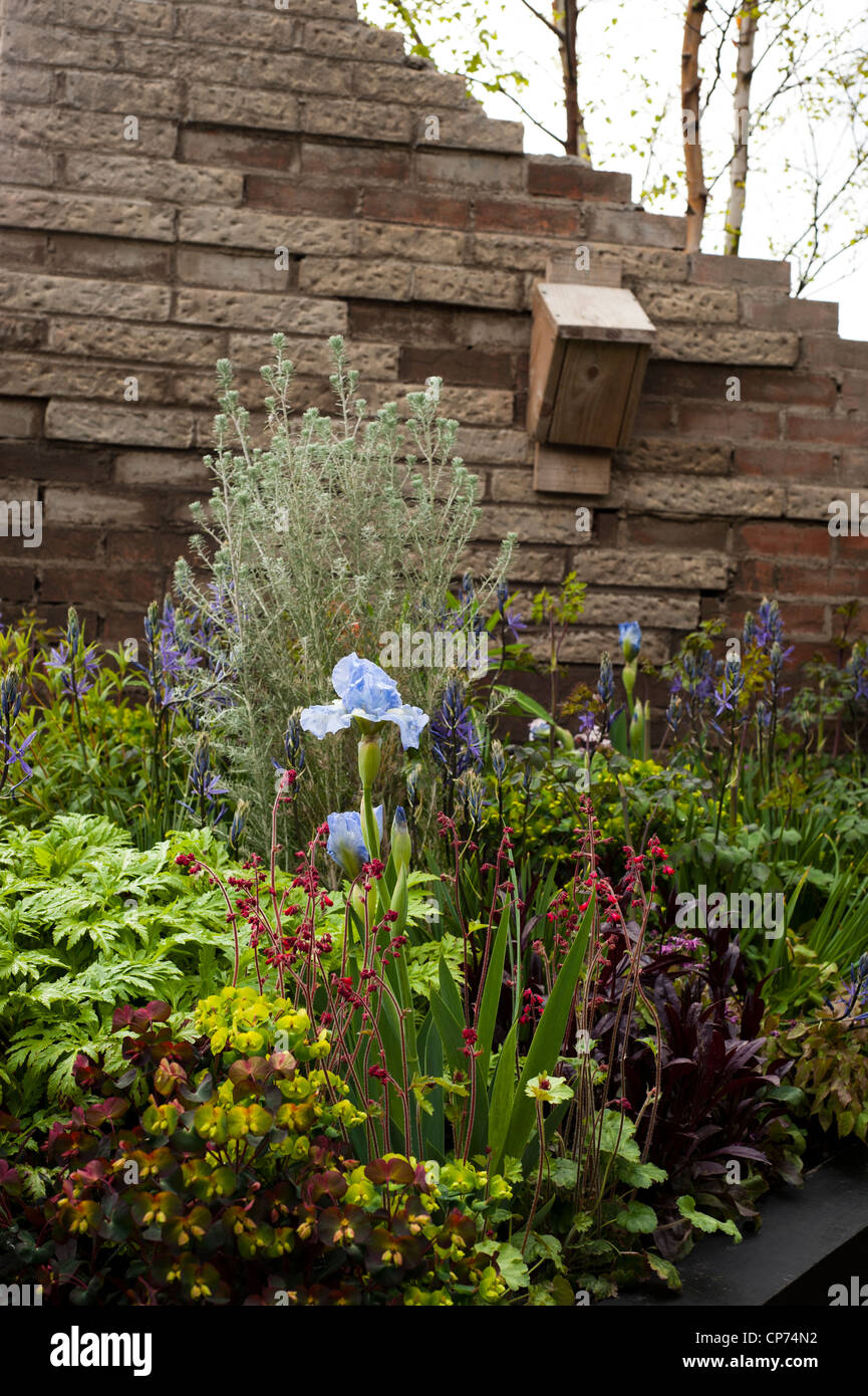 'Urban Oasis' show feature at the 2012 RHS Show Cardiff Stock Photo