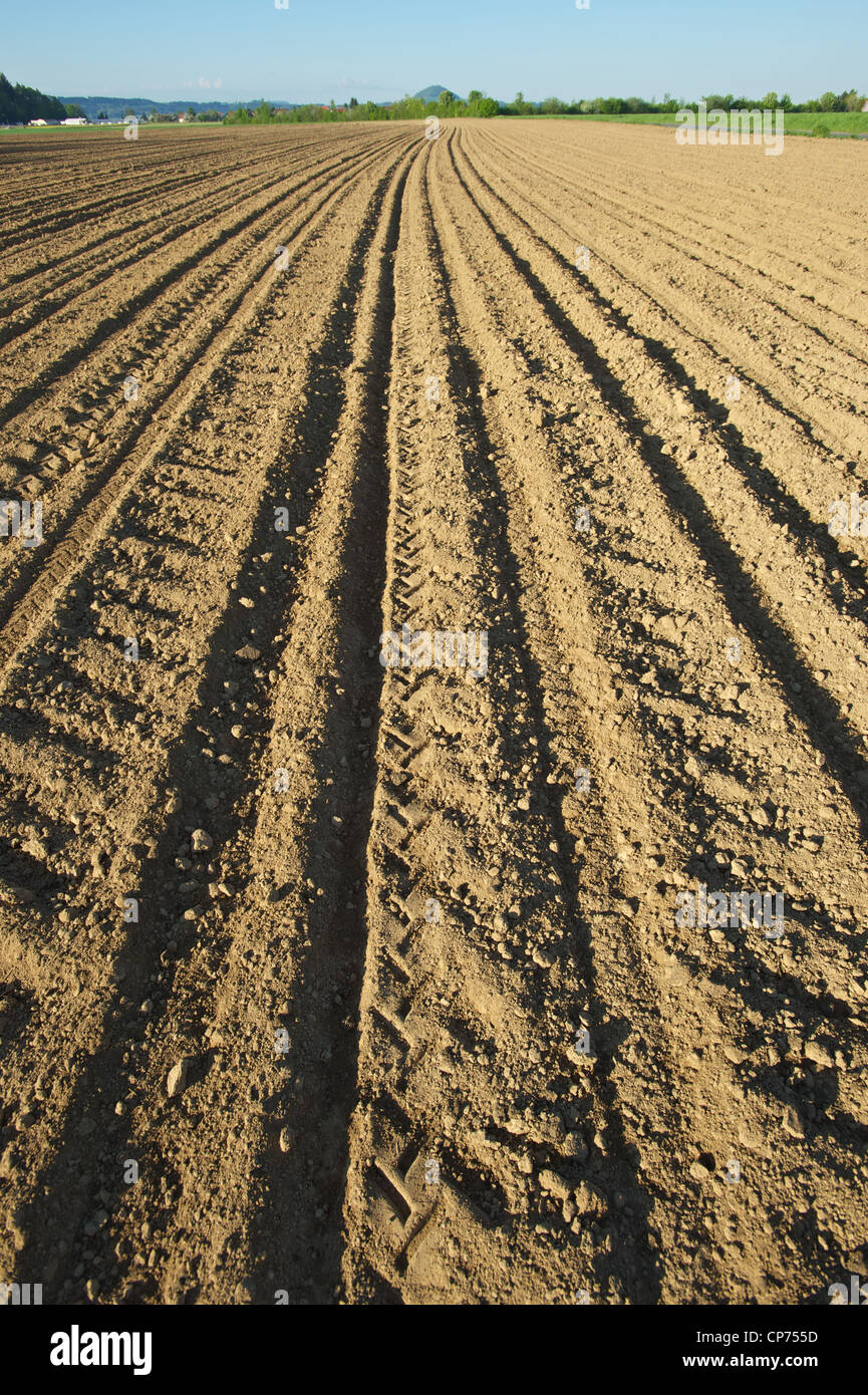 harrowed field prepared for palnting Stock Photo Alamy