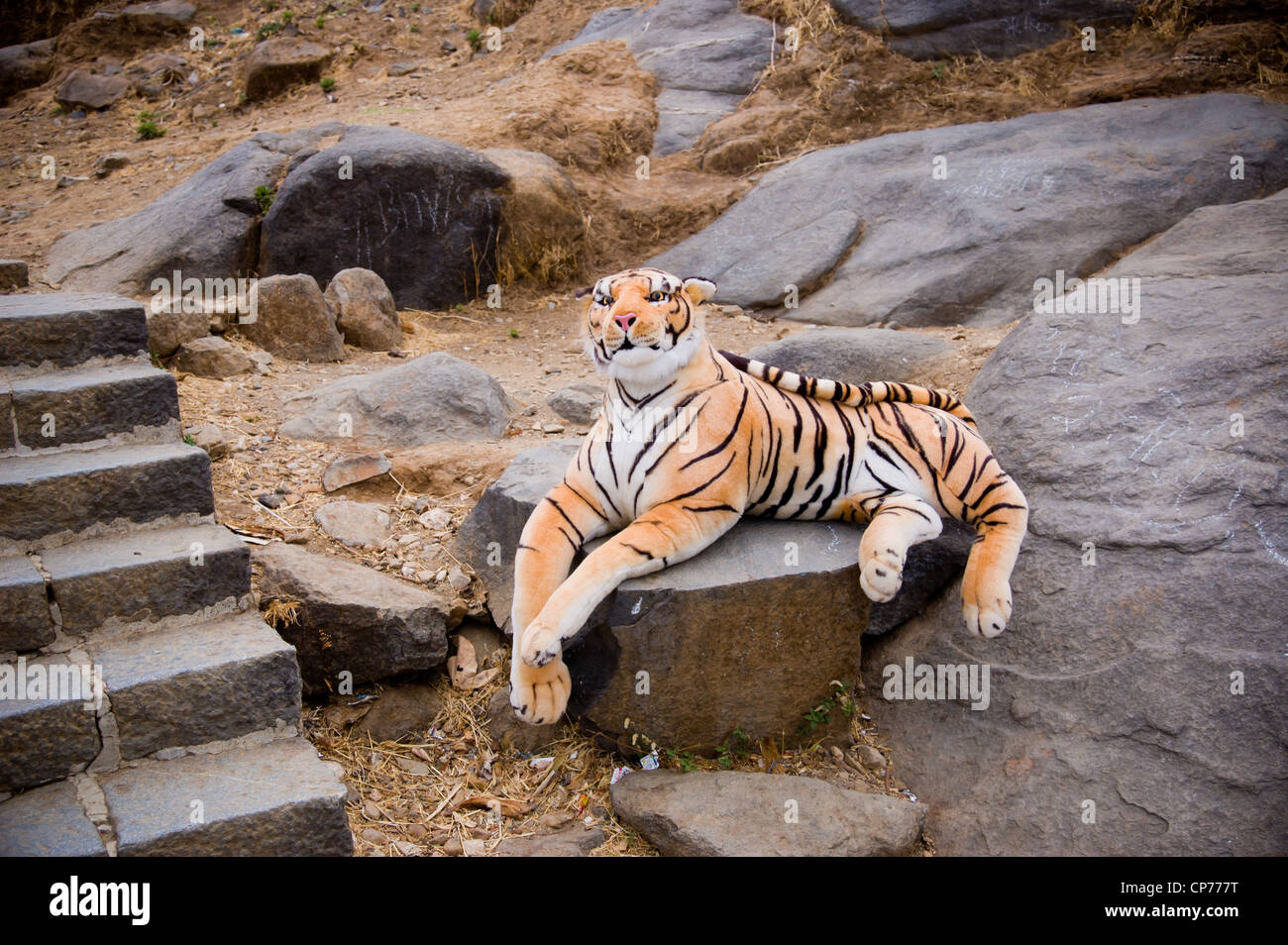 A stuffed animal tiger, along the path up Girnar Hill, a pilgrimage site for both Jains and Hindus. Junagadh, Gujarat, India. Stock Photo