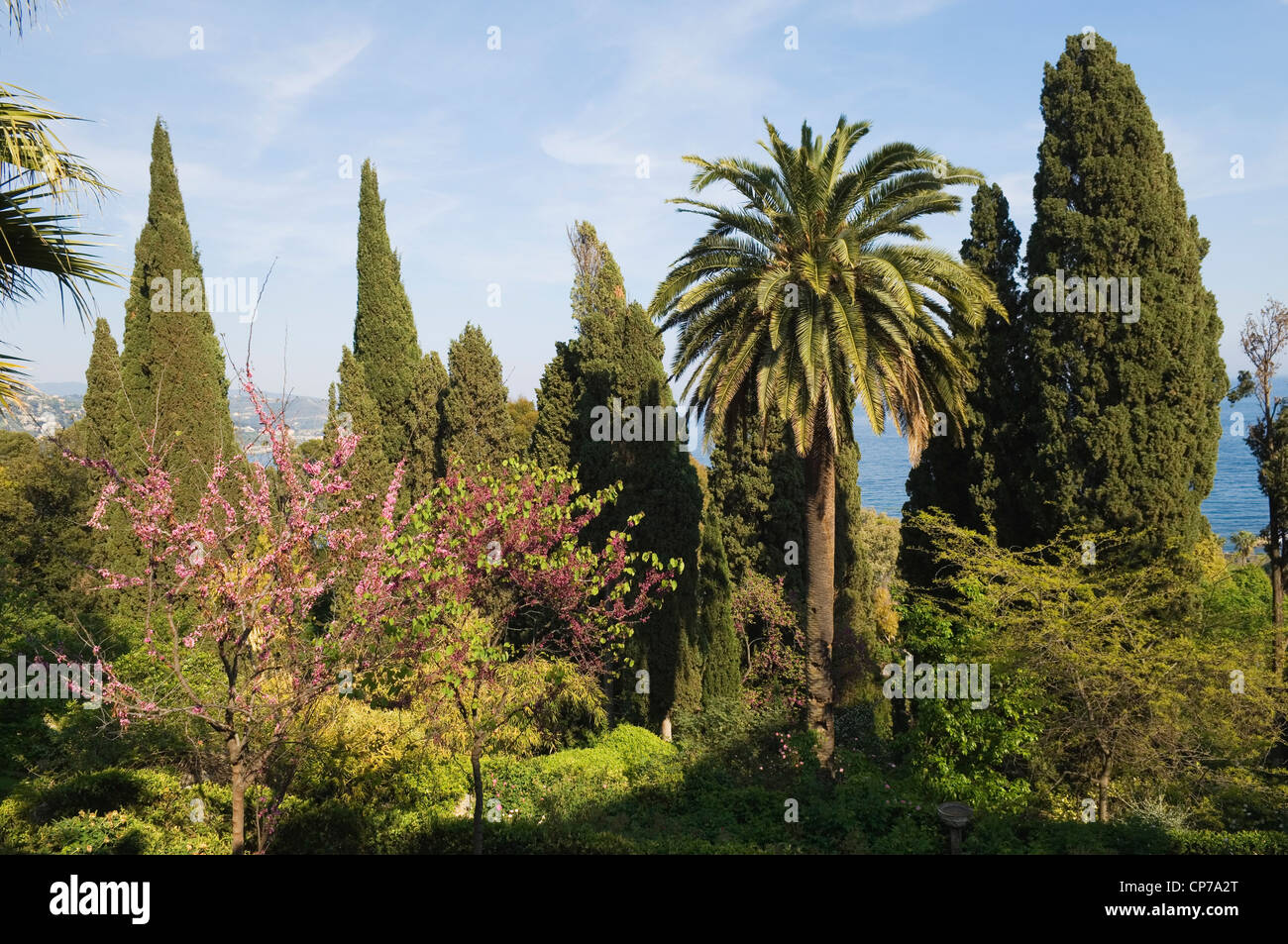 Hanbury Botanic Gardens, near Ventimiglia, Liguria, Italy Stock Photo