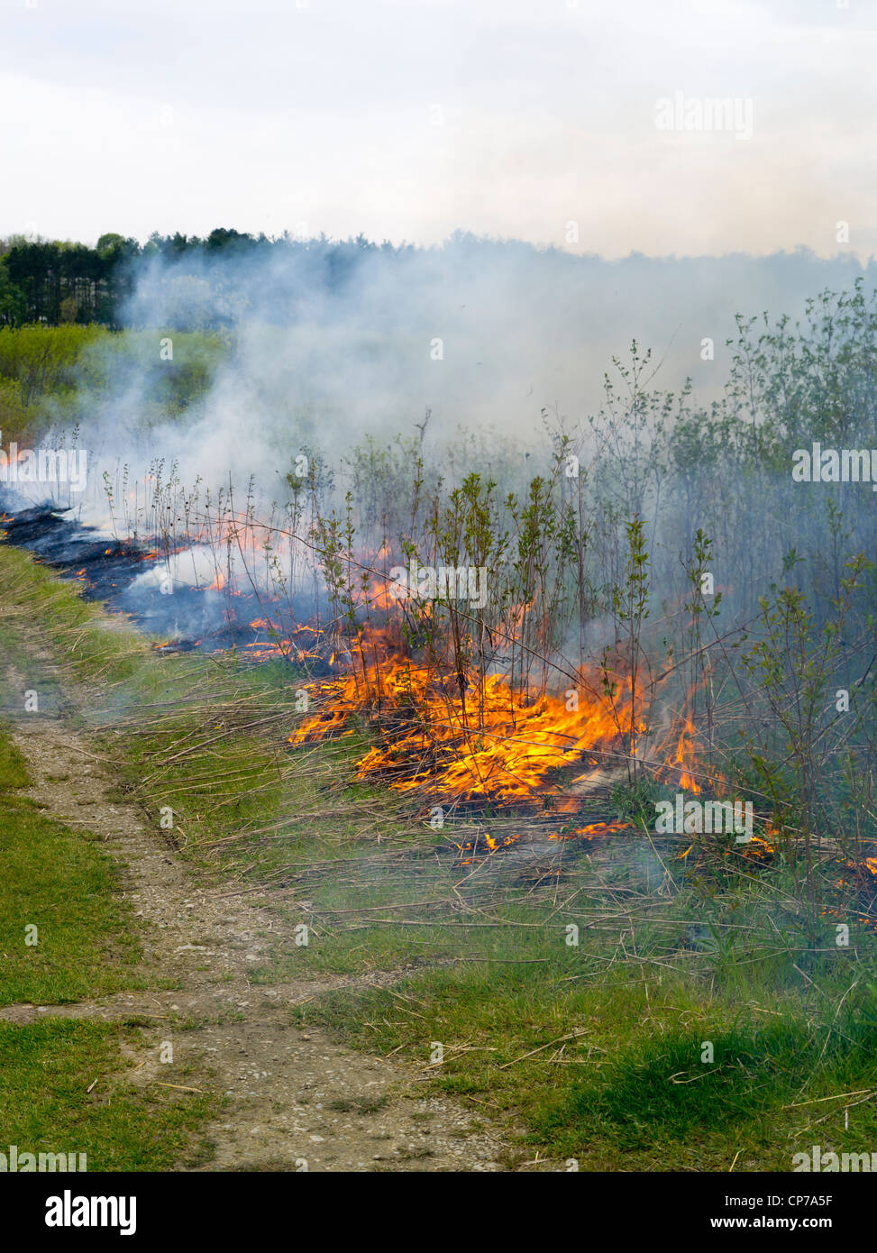 Prescribed prairie burn at the University of Wisconsin Arboretum