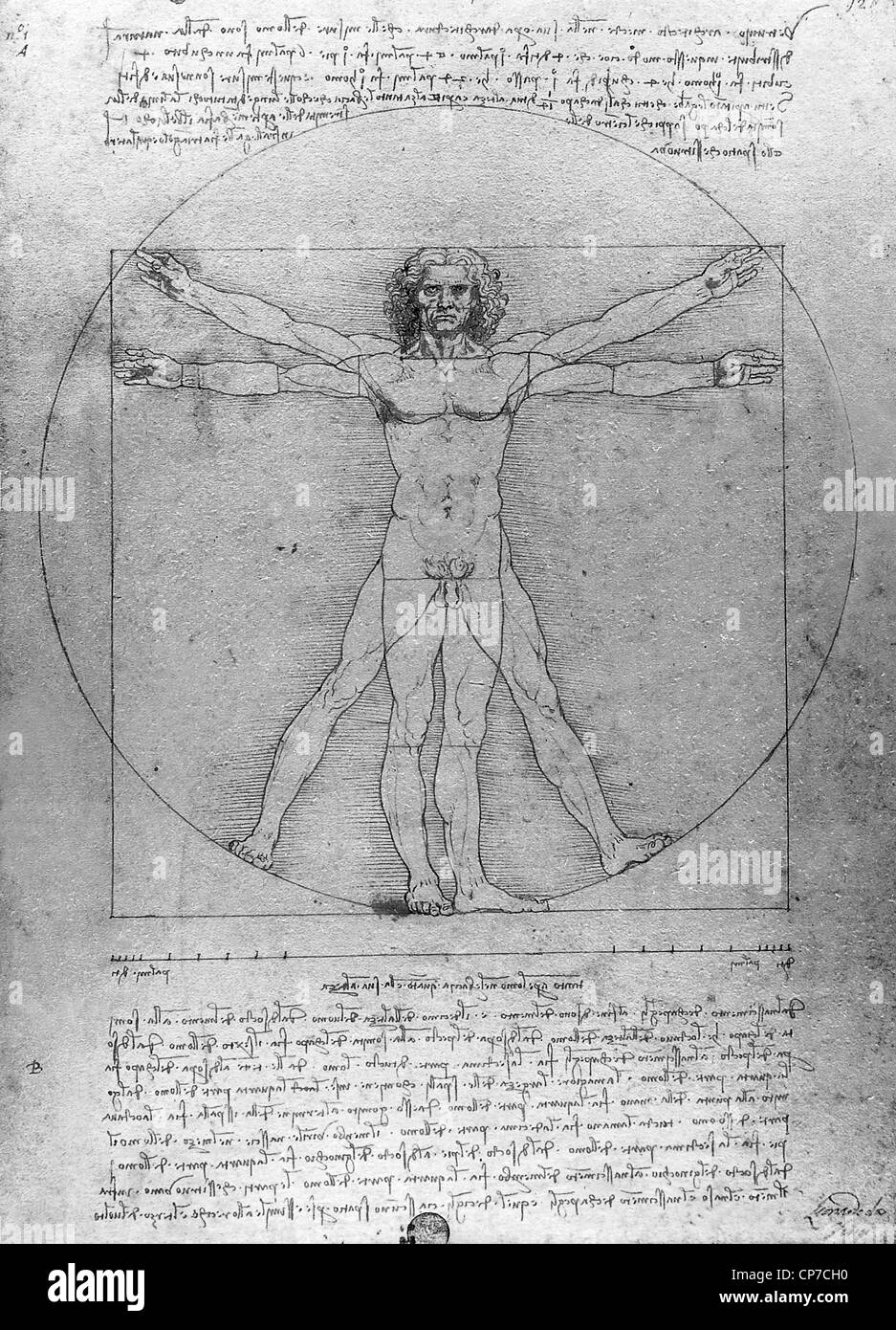 The Vitruvian Man is a world-renowned drawing created by Leonardo da Vinci circa 1487 Stock Photo