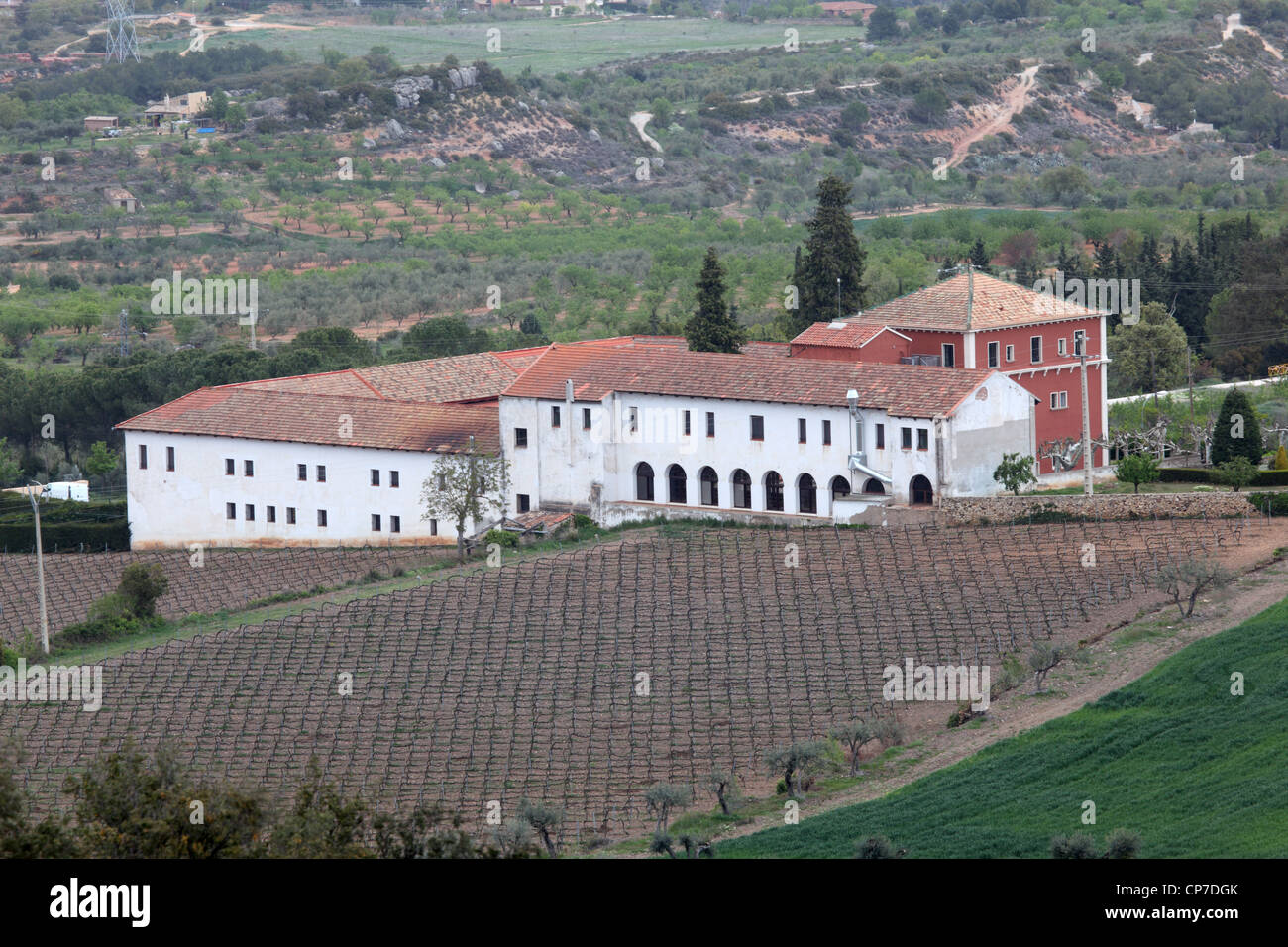 Monastery with vineyard located in the region Conca de Barbera. Catalonia, Spain Stock Photo