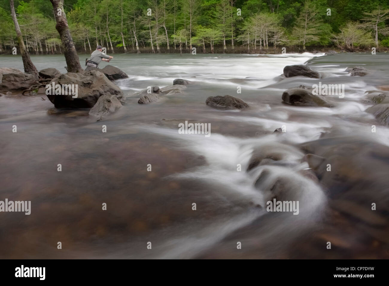 Flyfishing on the Mountain Fork River, Southeastern Oklahoma Stock