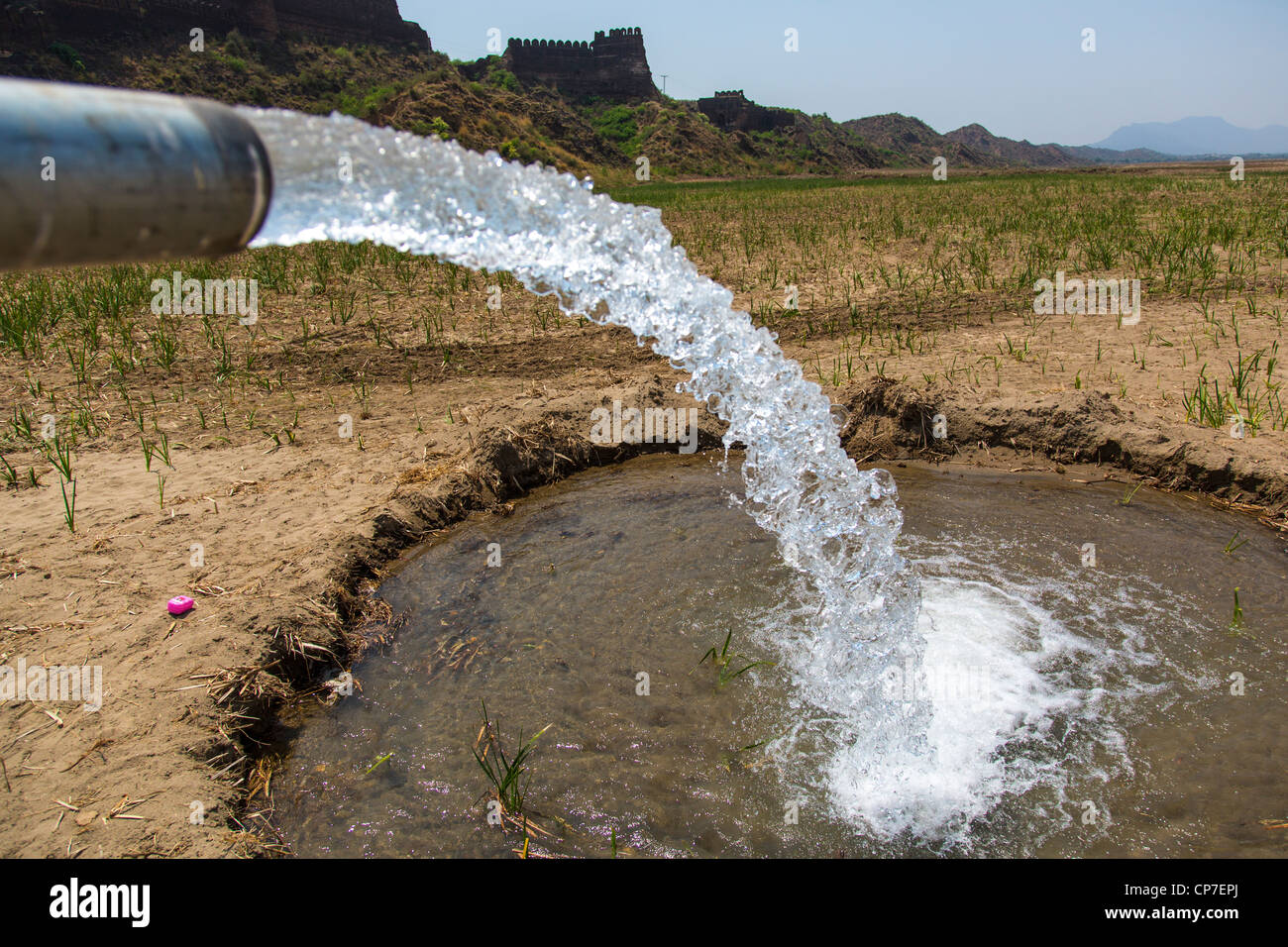 Irrigation in Punjab Province, Pakistan Stock Photo Alamy