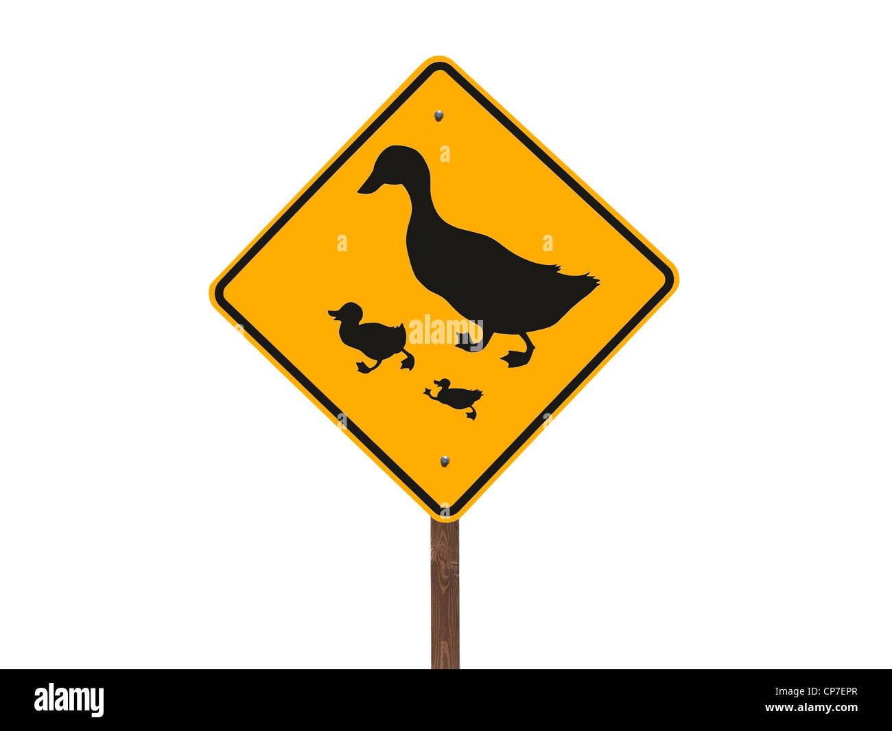 Duck crossing caution road sign isolated. Stock Photo