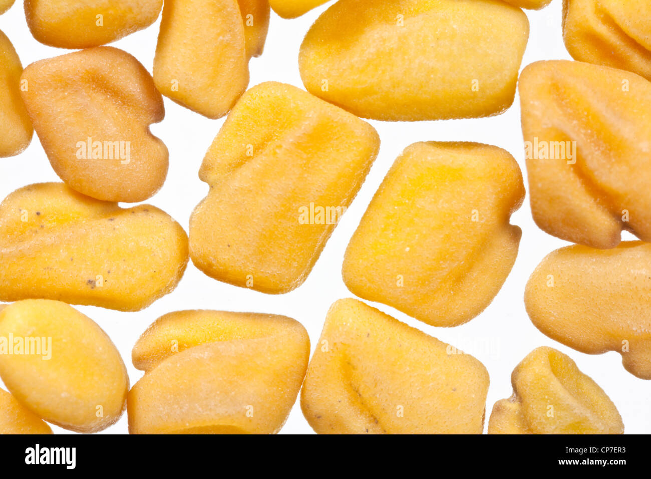 Fenugreek seeds extreme macro, a traditional chinese herbal food and medicine. Stock Photo