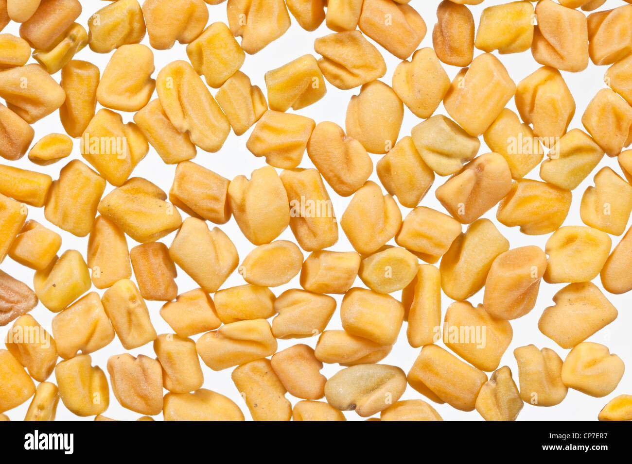 Fenugreek seeds macro, a traditional chinese herbal food and medicine. Stock Photo