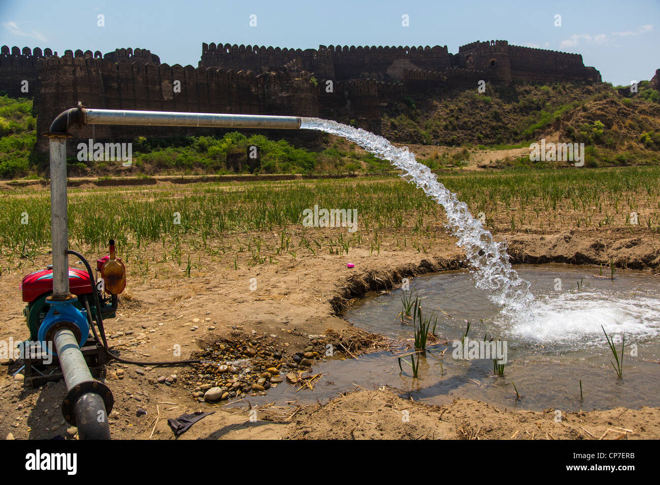 Irrigation in front of Rhotas Fort, Punjab Province, Pakistan Stock