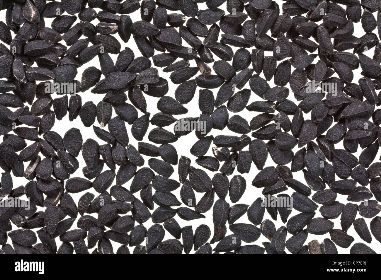 Nigella Sativa, black Kalonji seeds macro shot. Stock Photo