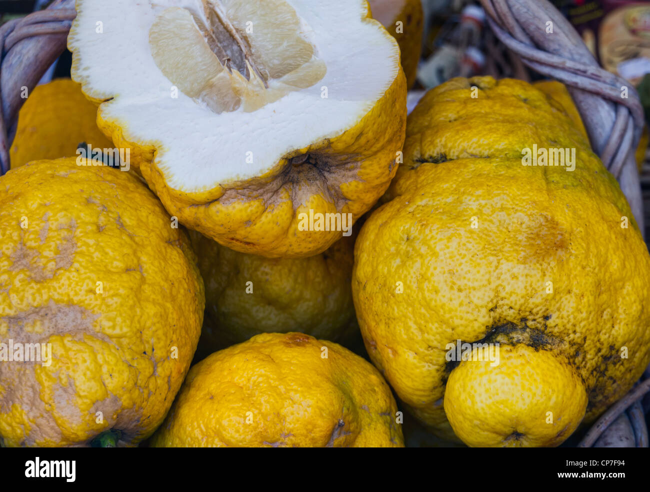 Cedrat Fruit. Properly the citron, a variety of Citrus medica, with large fruits, not acid, and having a high perfume. Stock Photo