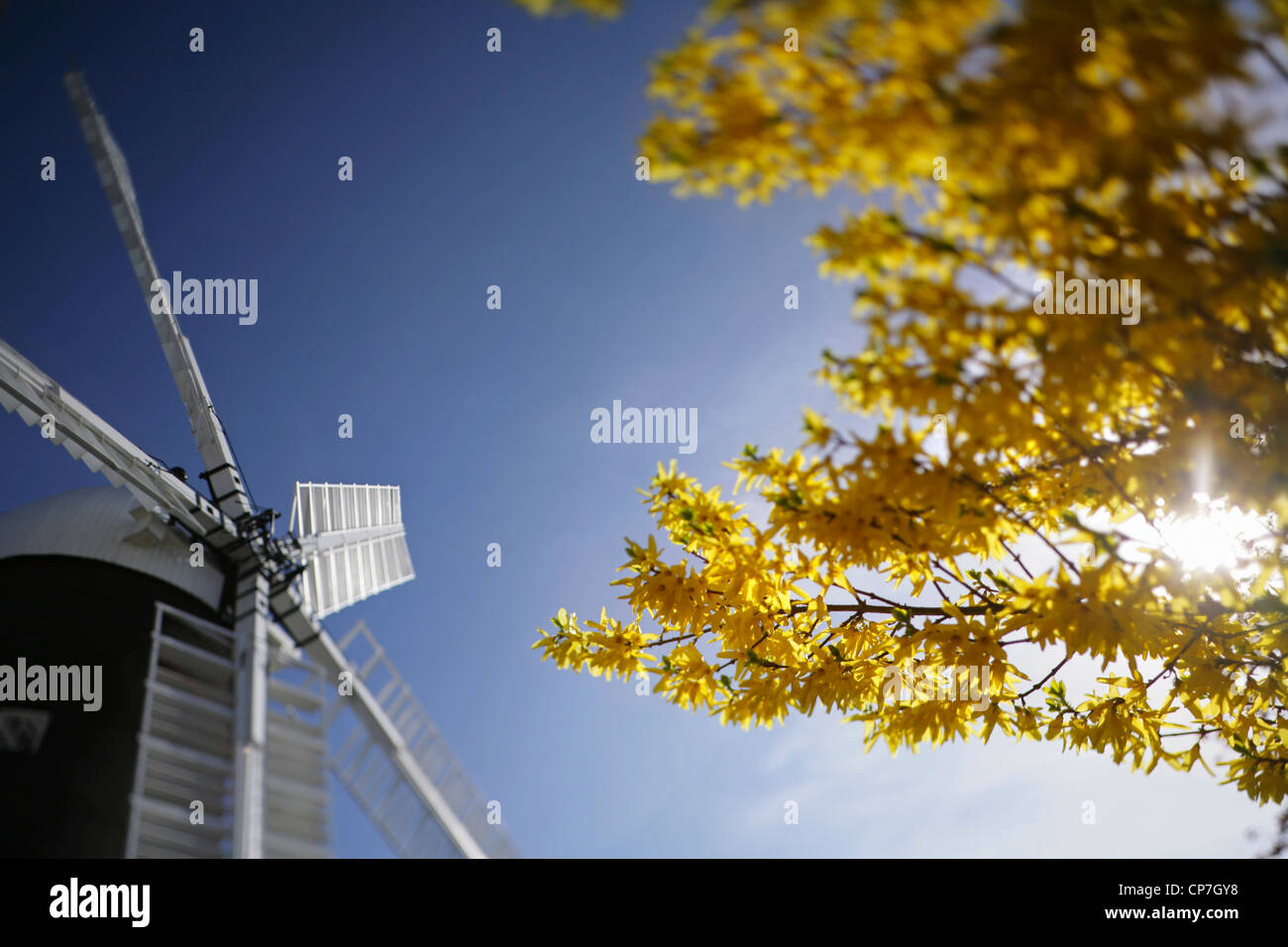 The restored Holgate windmill, York Stock Photo Alamy