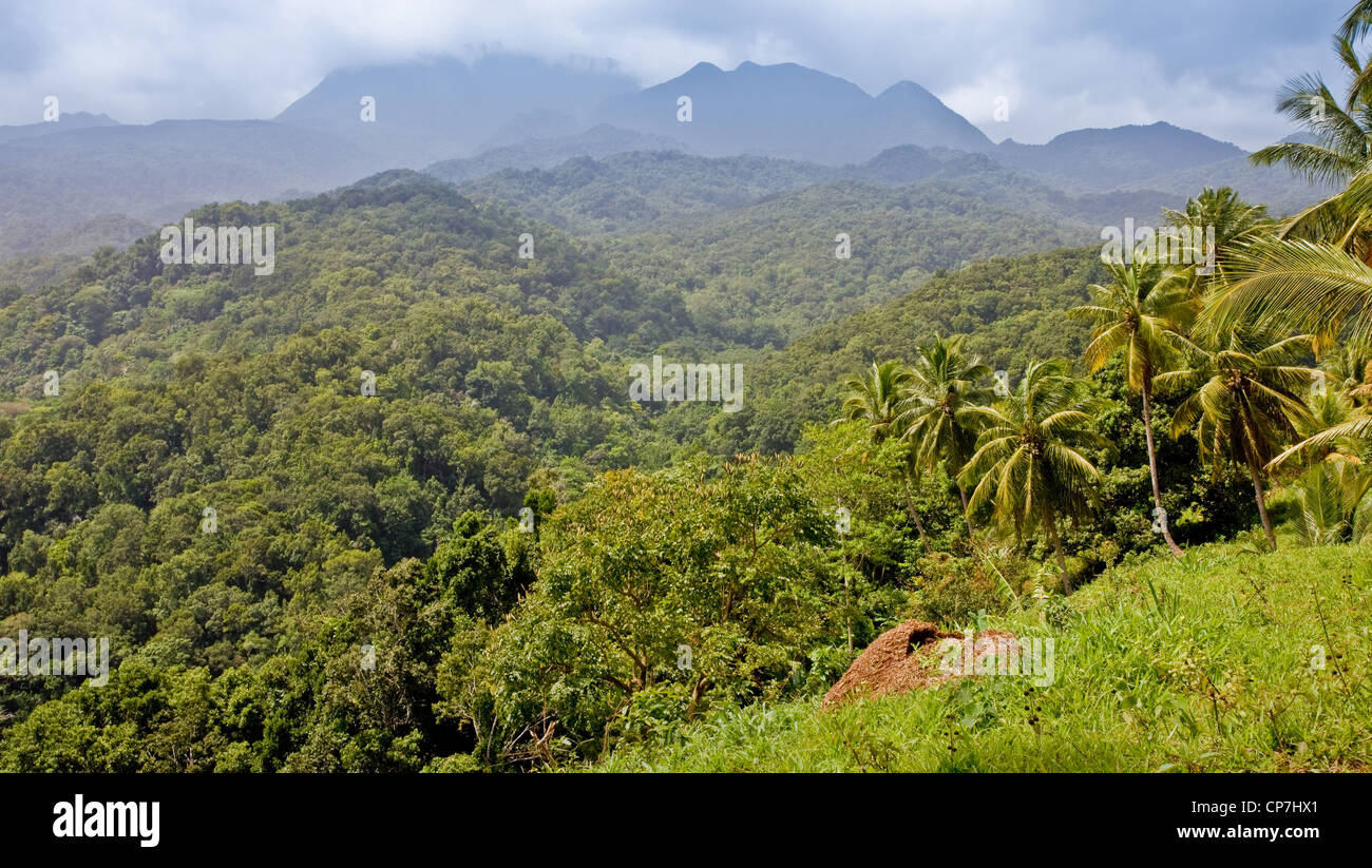 Morne Diablotin range from the Horseback Ridge Kalinago Territory on Dominica West Indies Stock Photo