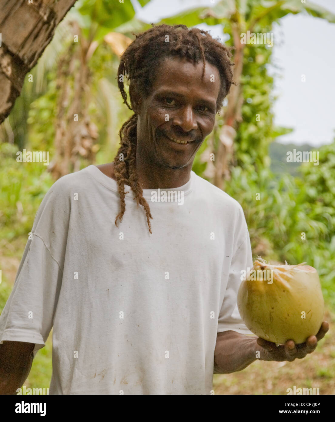Rastafarian Dominican man about to slice open a coconut Stock Photo