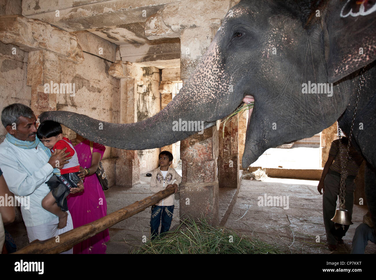 Elephant blessing a child. Virupaksha temple. Hampi. India Stock Photo