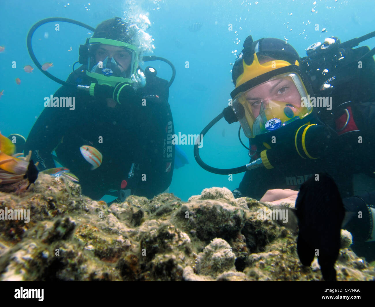 SCUBA Diver with Full Face Mask underwater Stock Photo