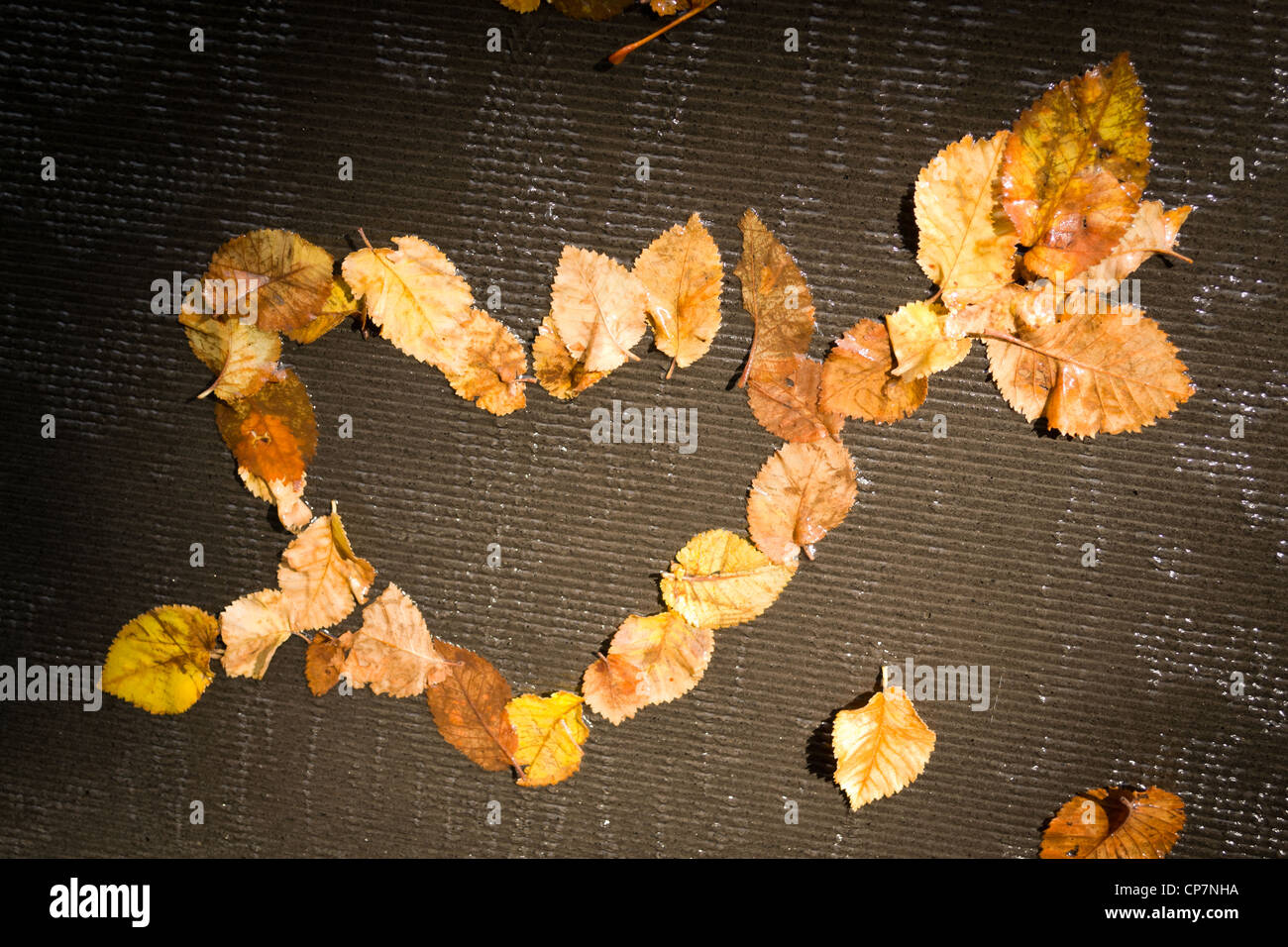 Heart with arrow going through it Stock Photo - Alamy