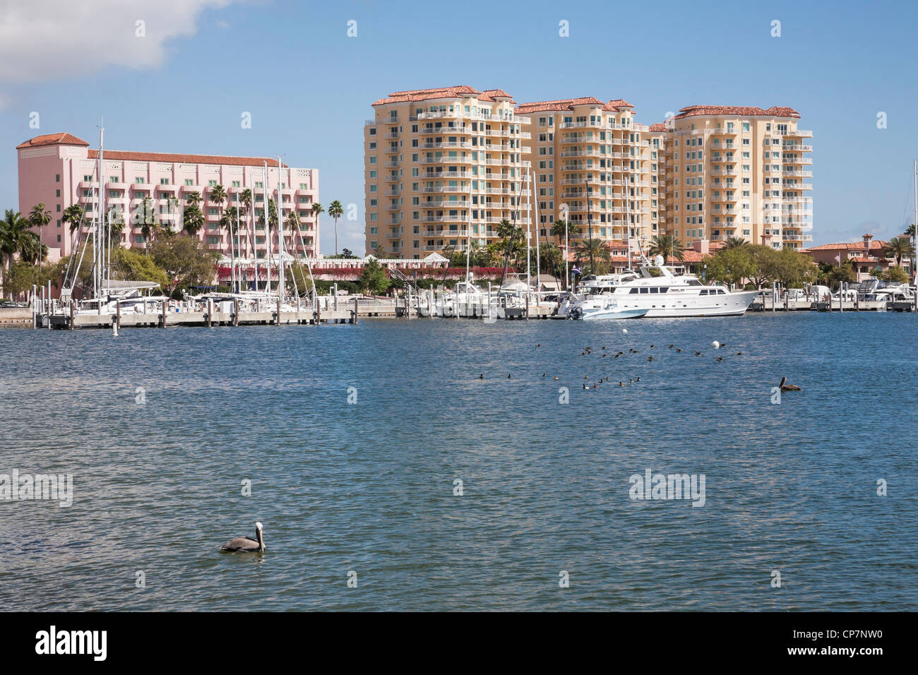 North Yacht Basin and Vinoy Resort Hotel and condos , St. Petersburg, Florida, USA Stock Photo