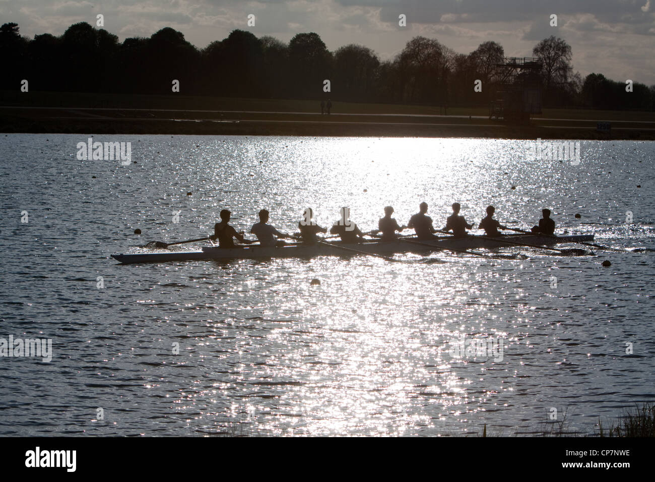 Silhouette of rowers practicing on Dorney Lake. Dorney Lake will be a venue for the London 2012 Olympics and Paralympics. Stock Photo