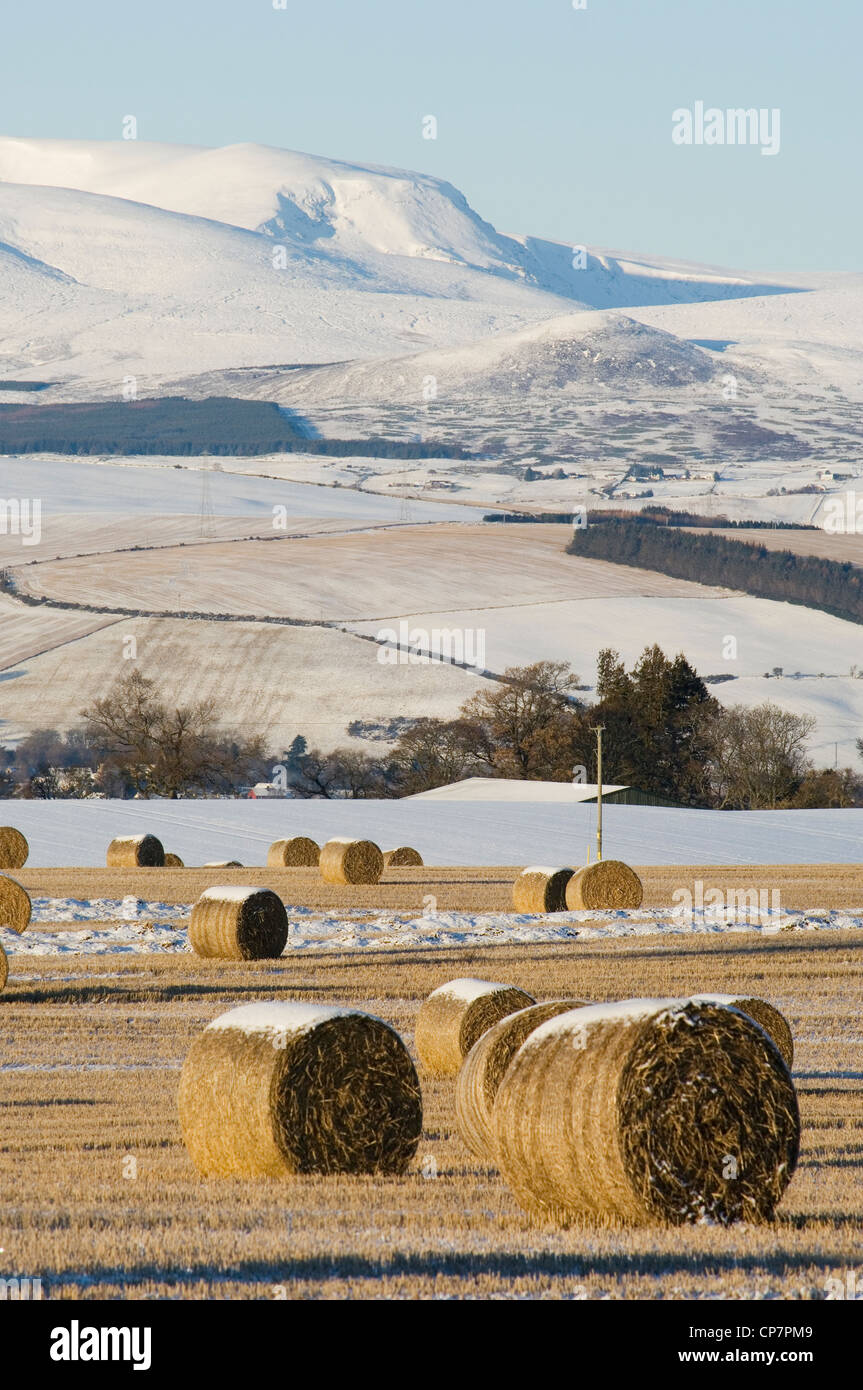 Ben Wyvis in winter, Ross-shire, Scotland. Stock Photo