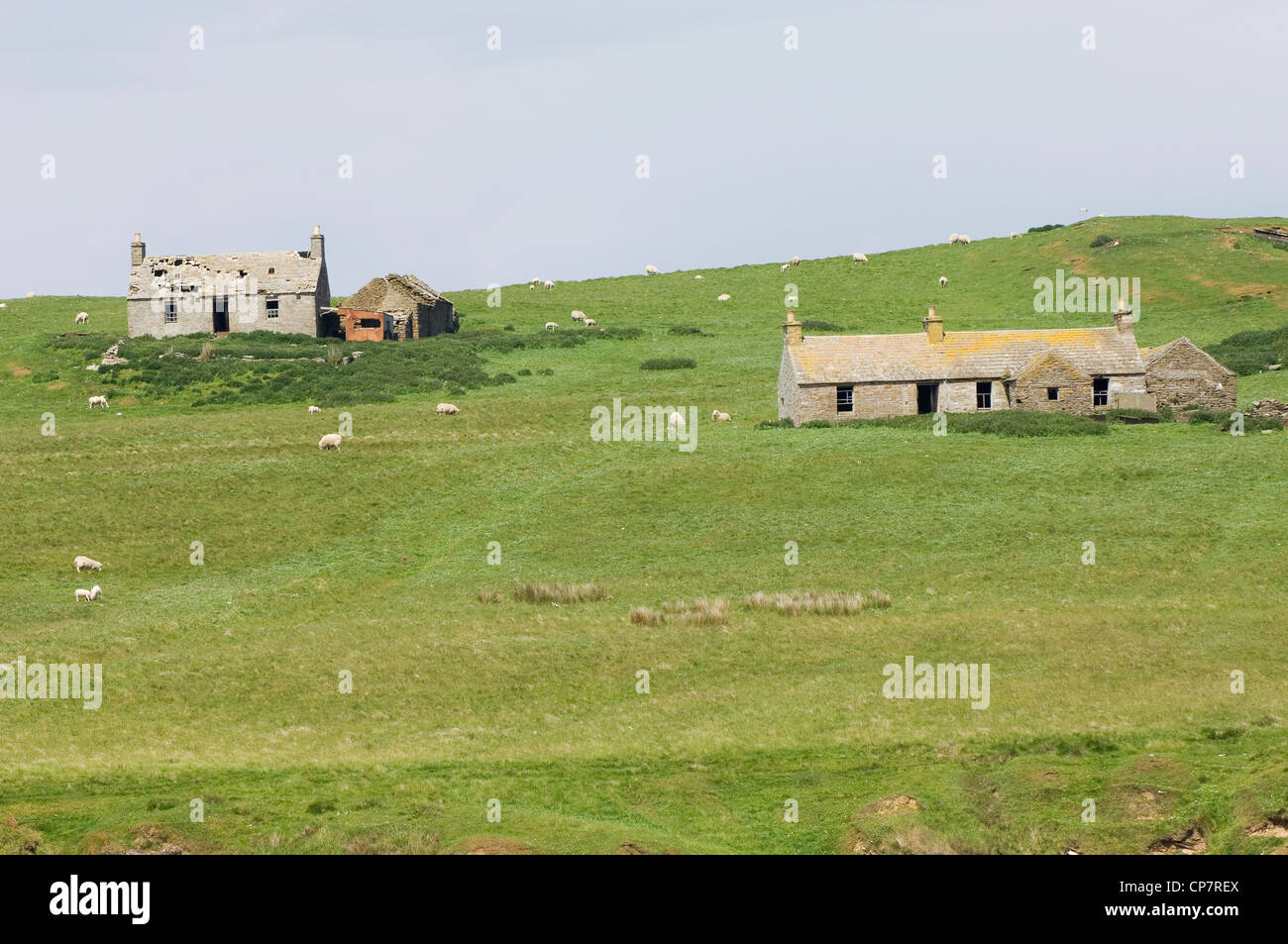 Ruined crofts on the island of Stroma, Caithness, Scotland Stock Photo