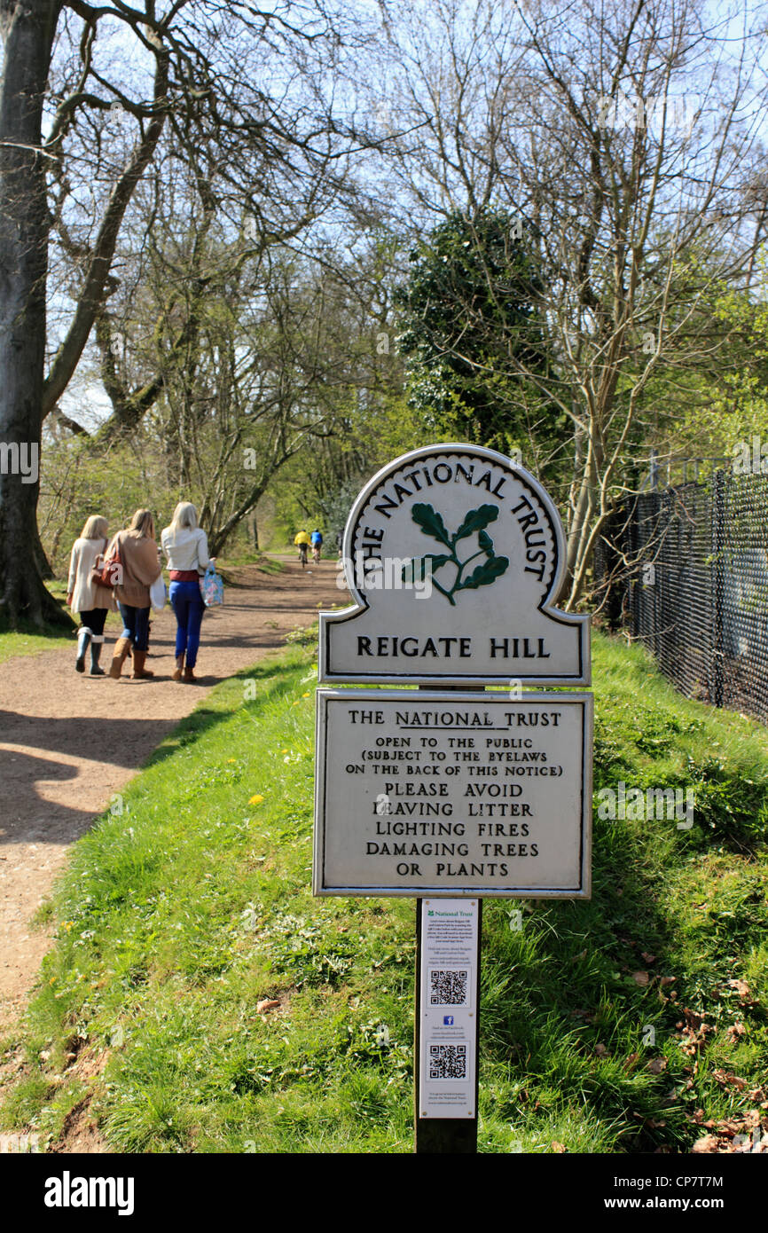 On the Pilgrims Way at Reigate Hill, part of the North Downs in Surrey England UK Stock Photo