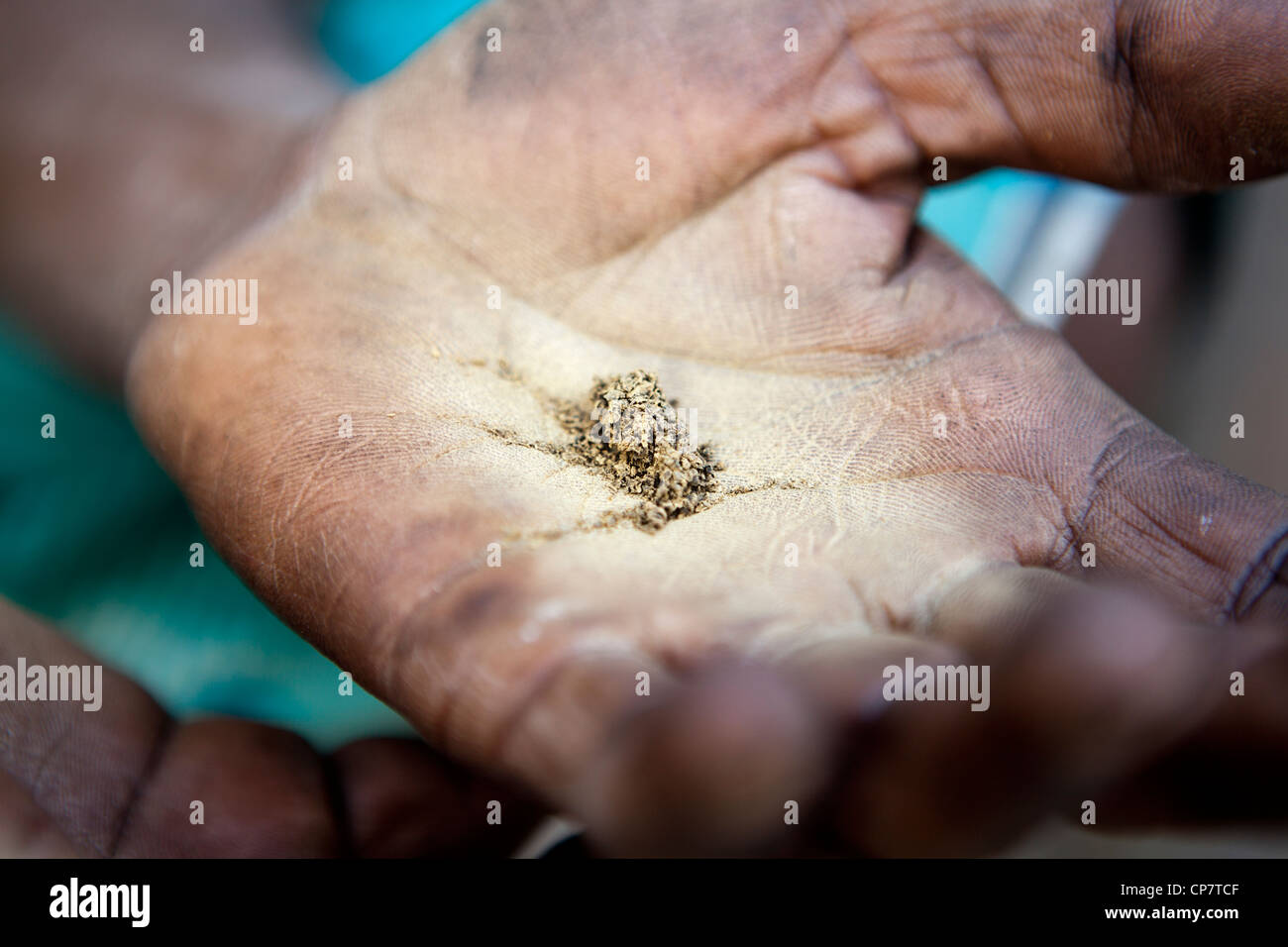Chewing tobacco hi-res stock photography and images