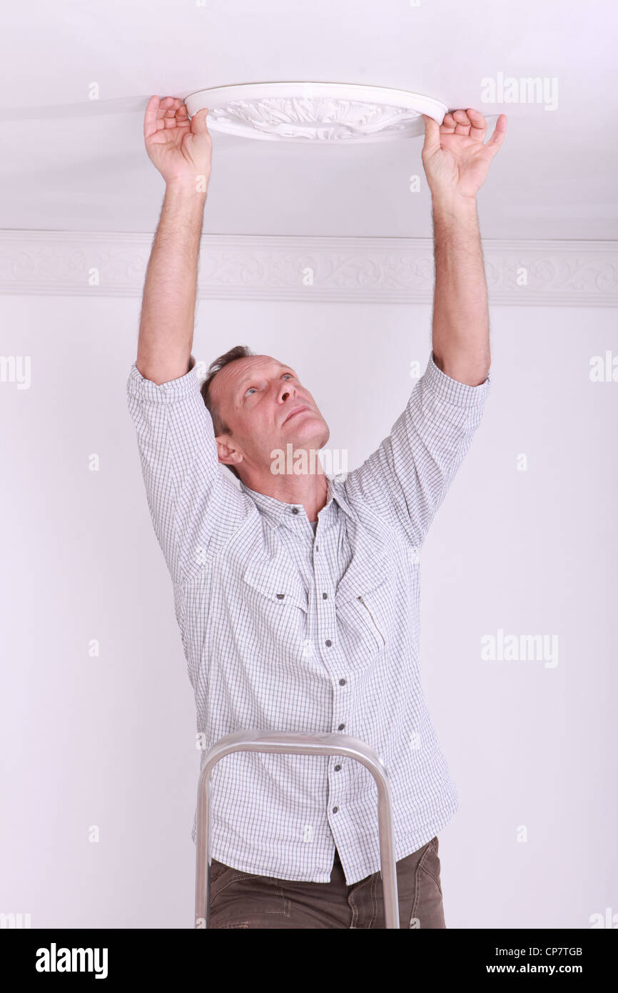 Fixing Plaster Ceiling Rose Stock Photo 48116107 Alamy