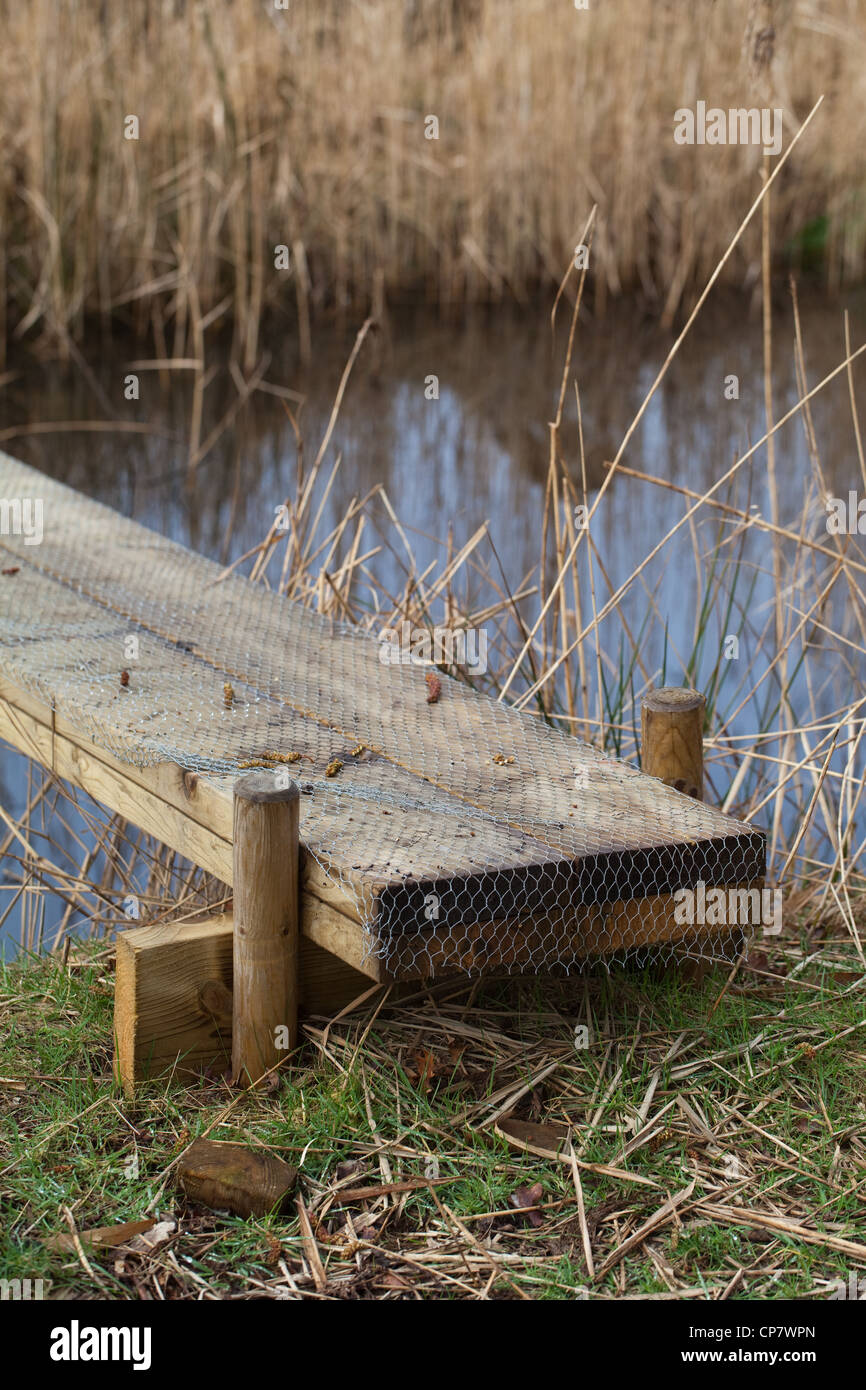 Construction of a simple plank bridge allowing access across a water filled ditch or dyke. Plank covered in wire netting Stock Photo