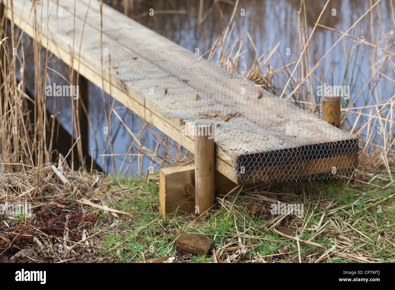 Construction of a simple plank bridge allowing access across a water filled ditch or dyke. Plank covered in wire netting Stock Photo